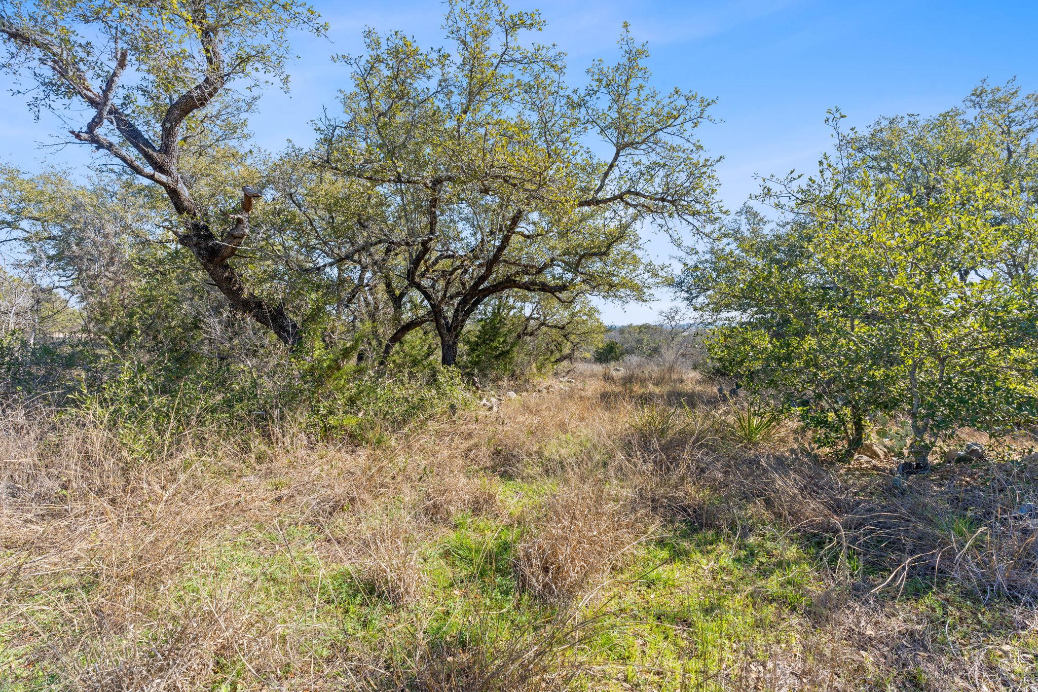 24200 Spur Trl Property Photo 18