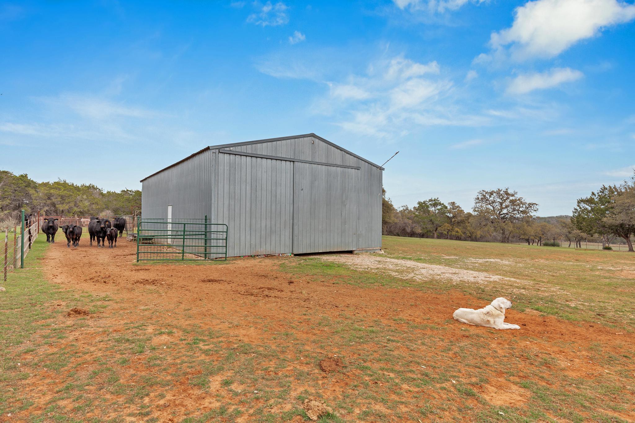 117 County Road 407 Property Photo 30