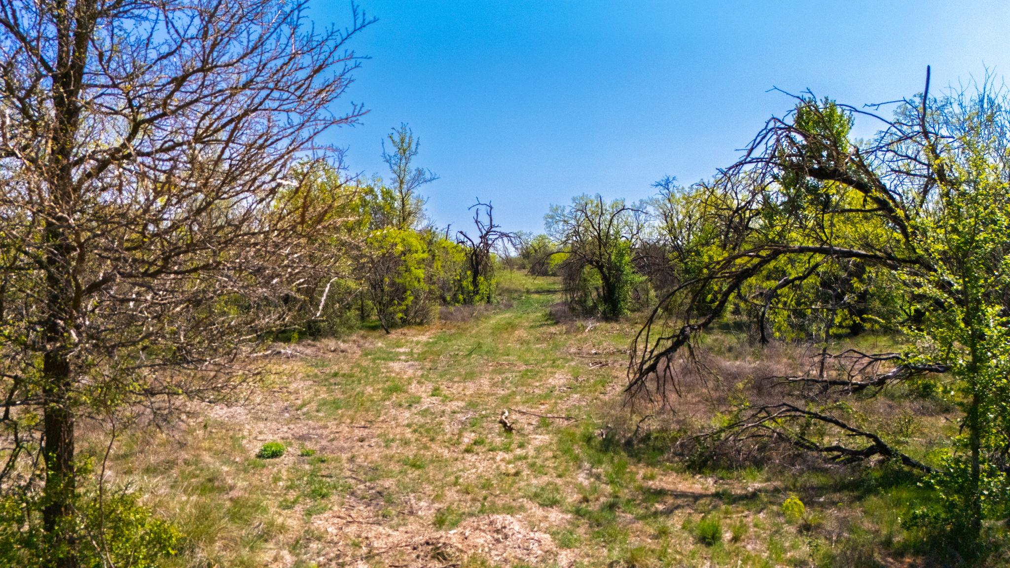 3810&3882 Dry Creek Rd Property Photo 25