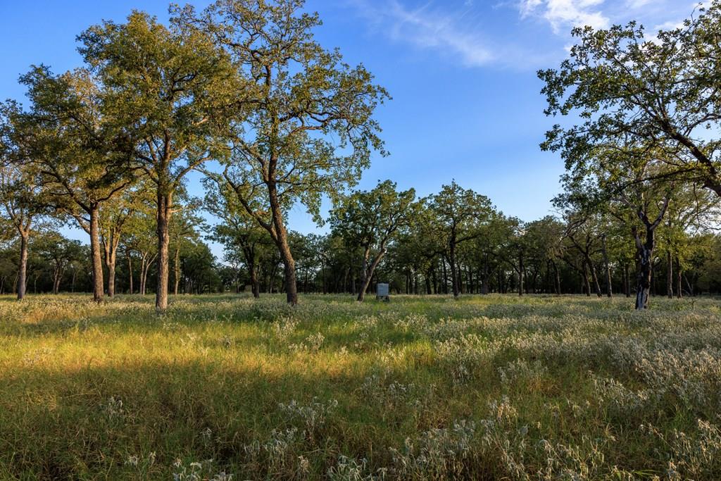10030 E. Us Highway 290 None Property Photo 35