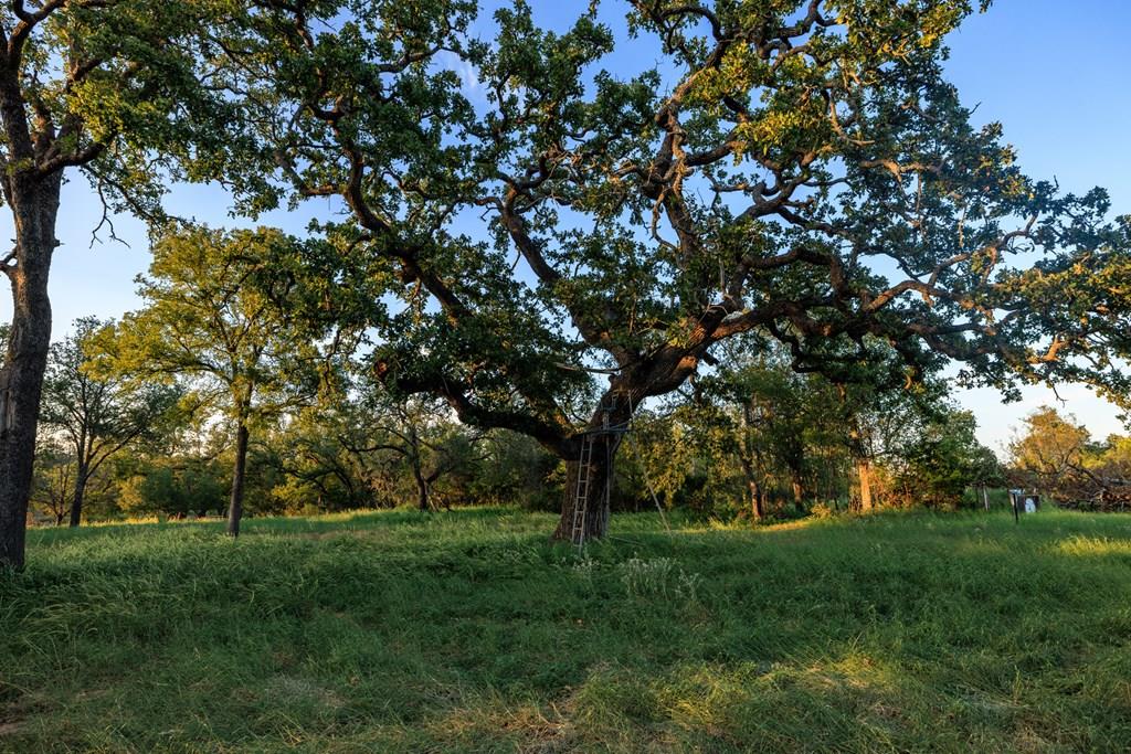 10030 E. Us Highway 290 None Property Photo 38