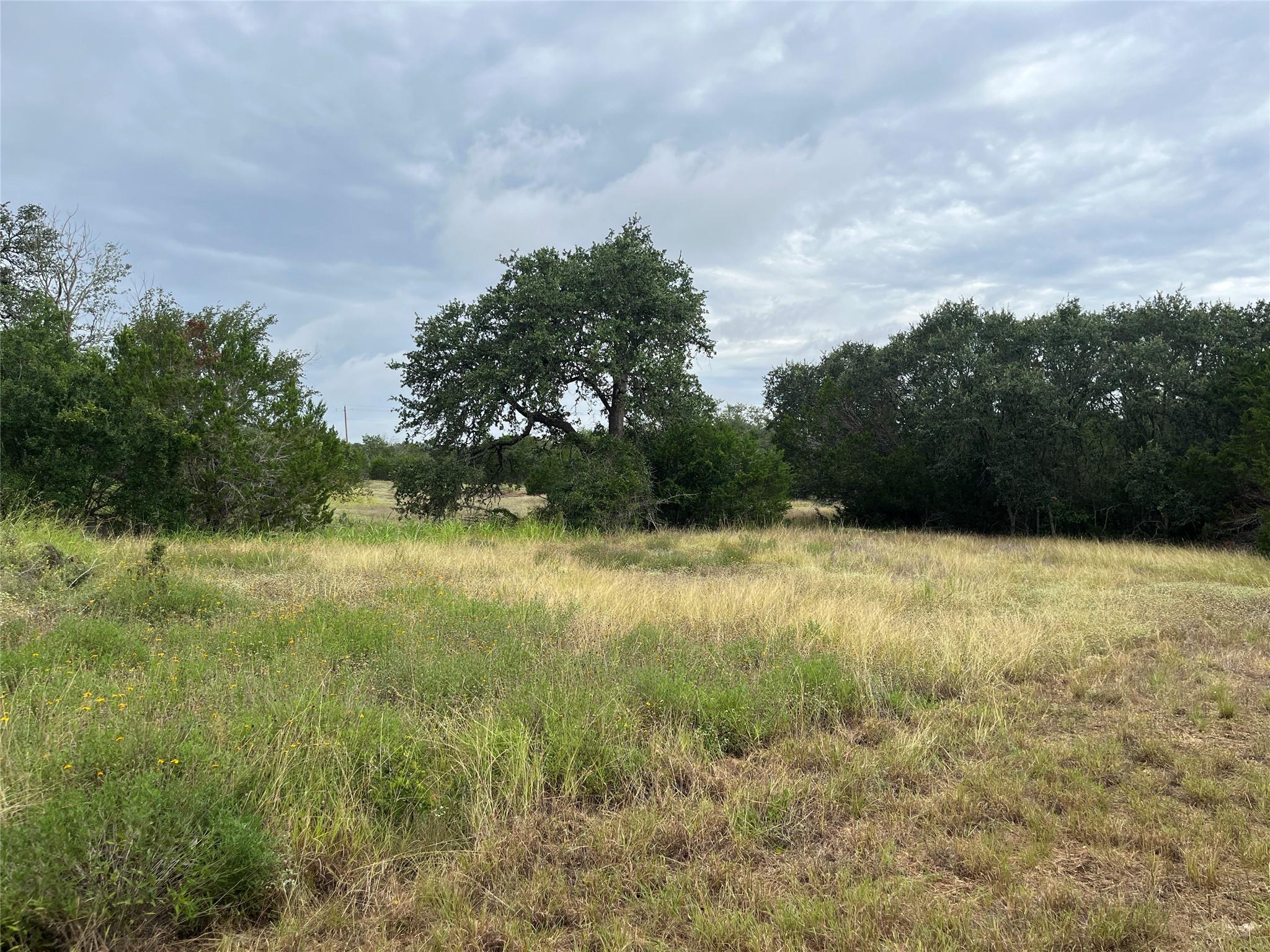 0 Arbor Trl Property Photo 1