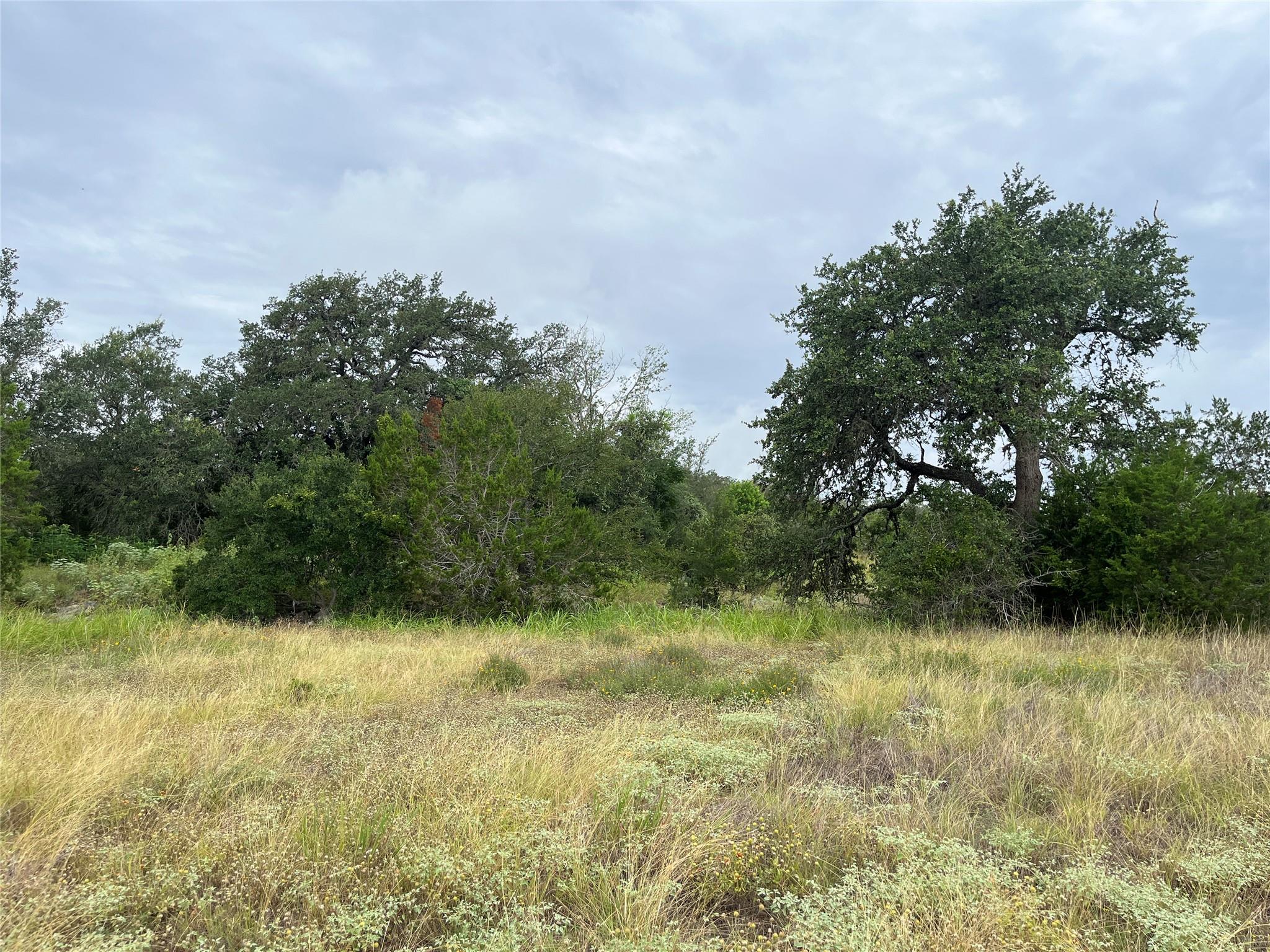 0 Arbor Trl Property Photo 2
