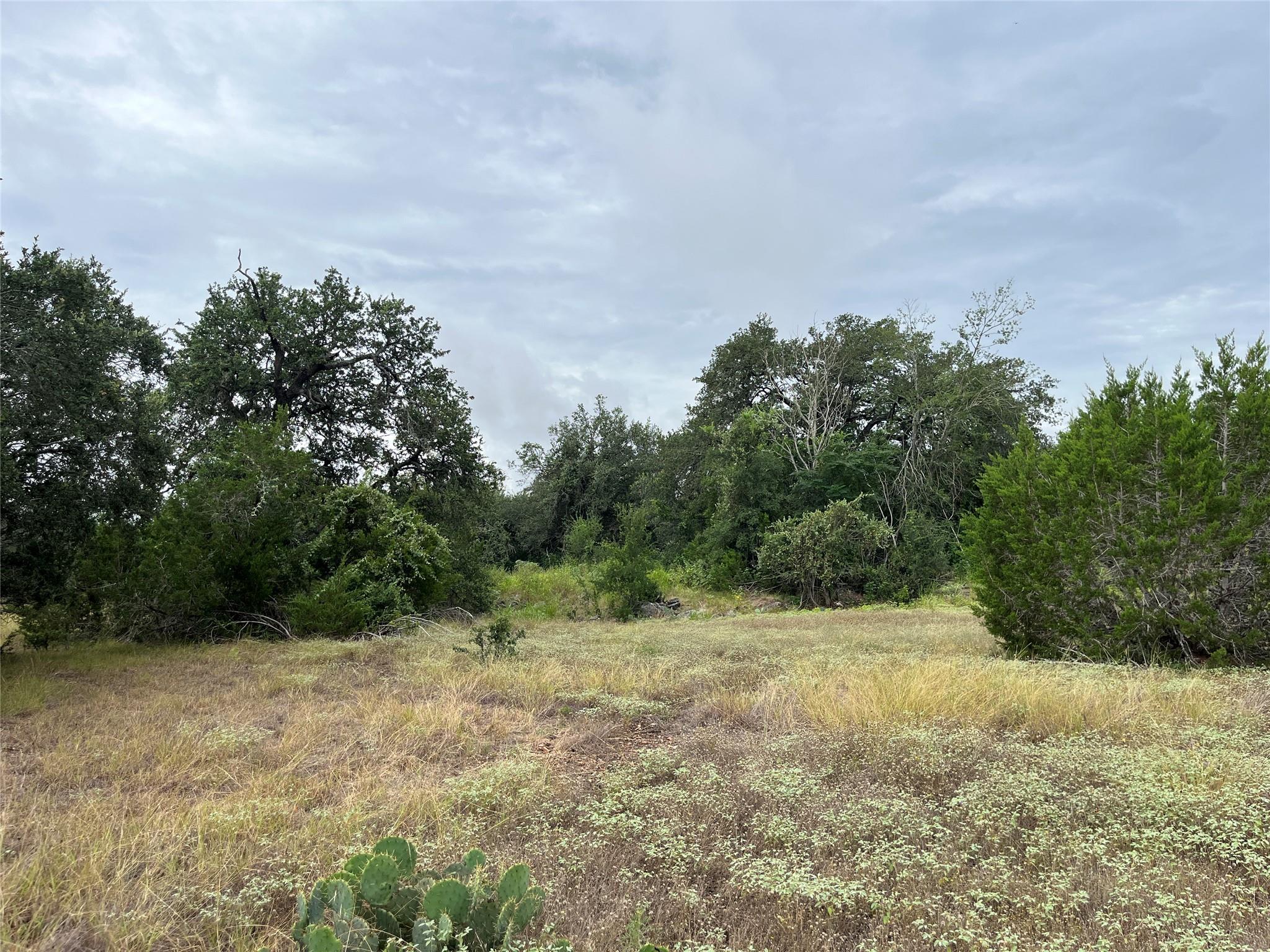 0 Arbor Trl Property Photo 3