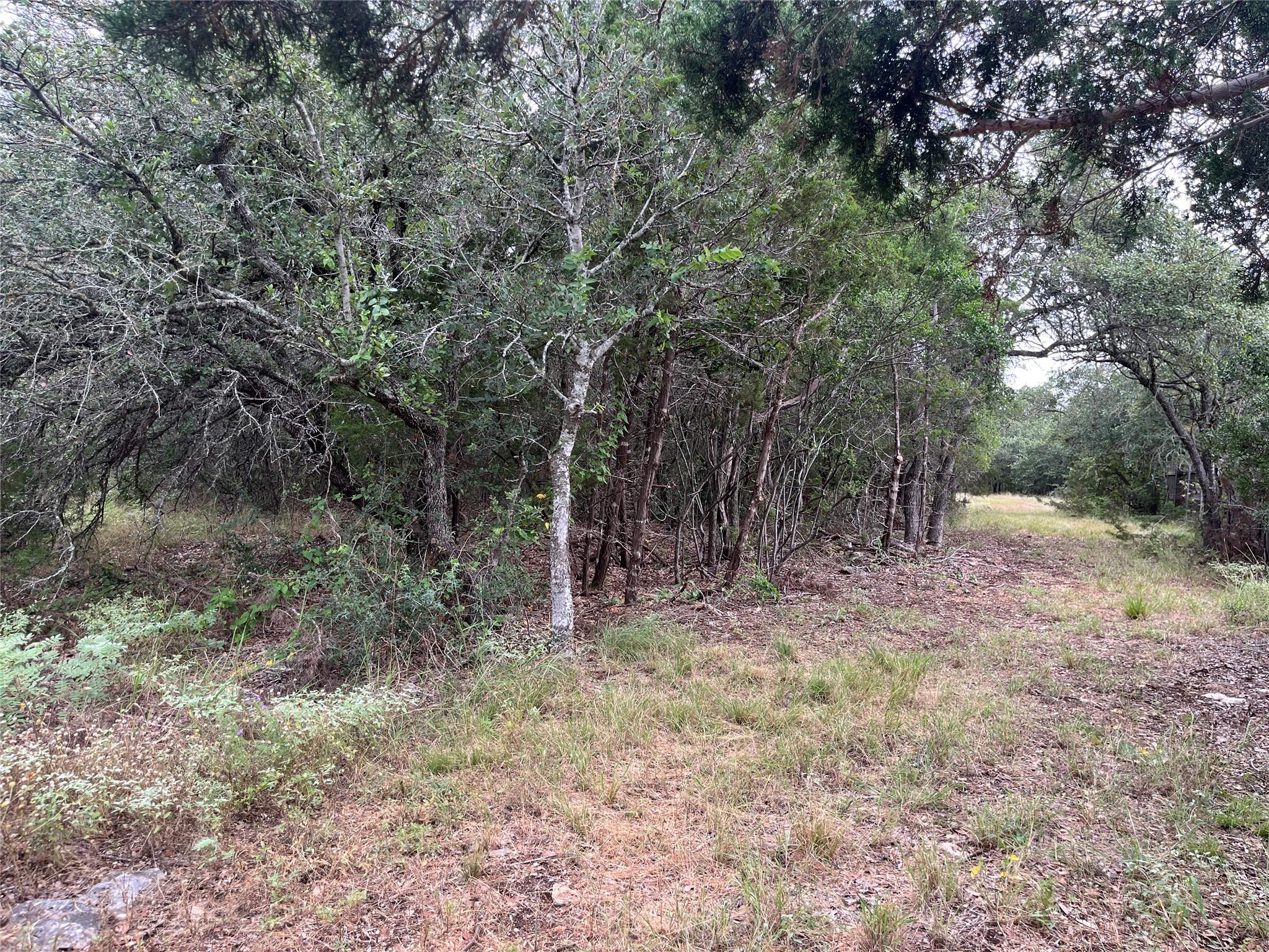 0 Arbor Trl Property Photo 7