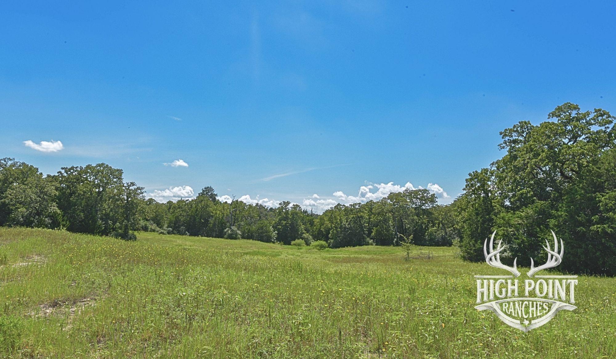 Tbd Ranch Road Off Cr 405 (+/- 60 Acres) None Property Photo 14