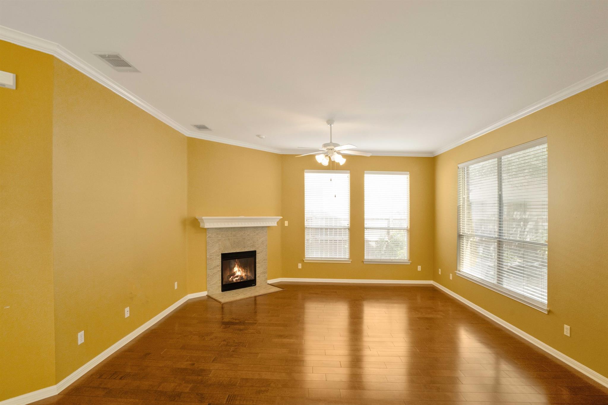 111 Village Park Dr Property Photo 12