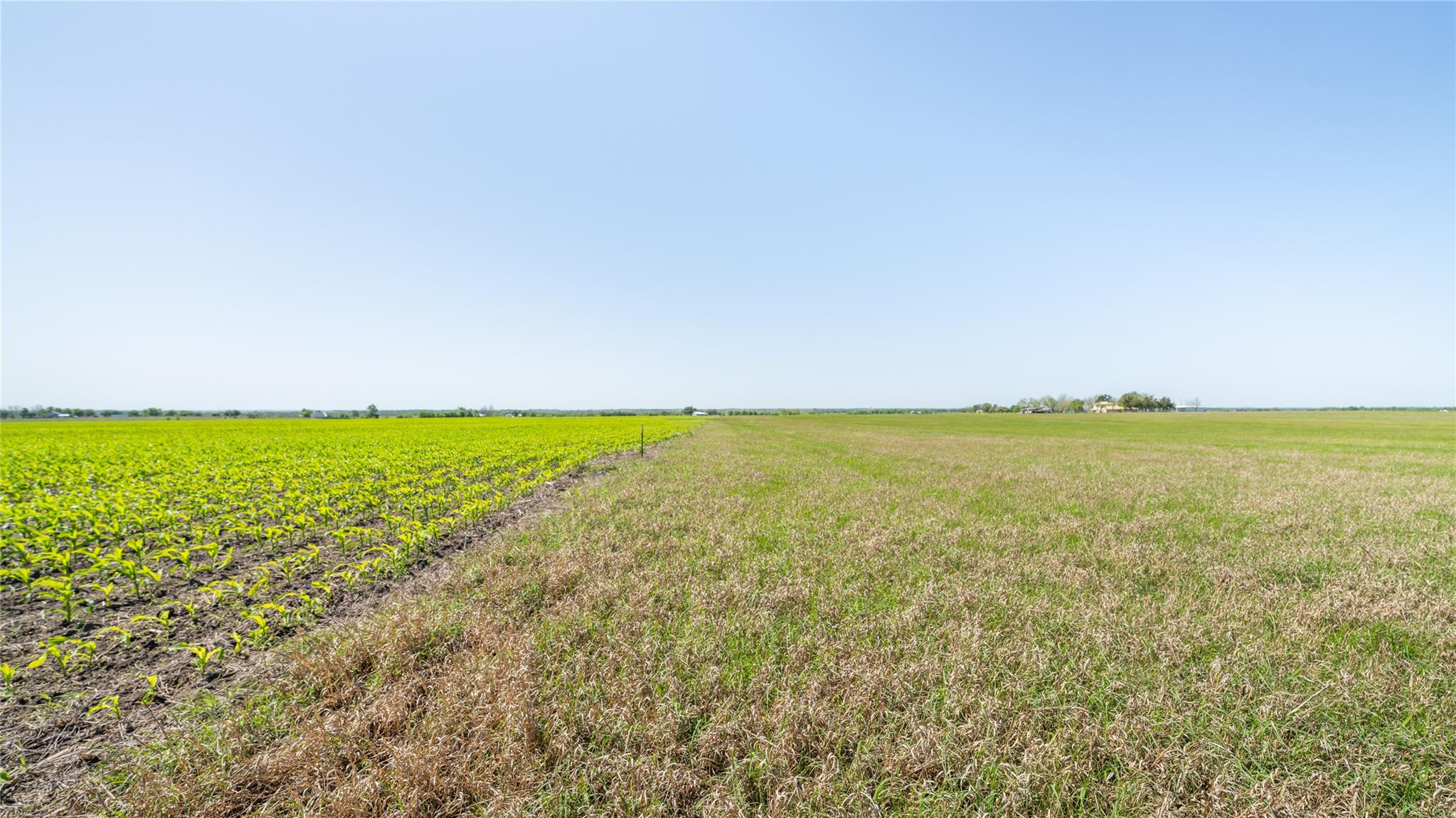 Tbd County Road 418 None Property Photo 9