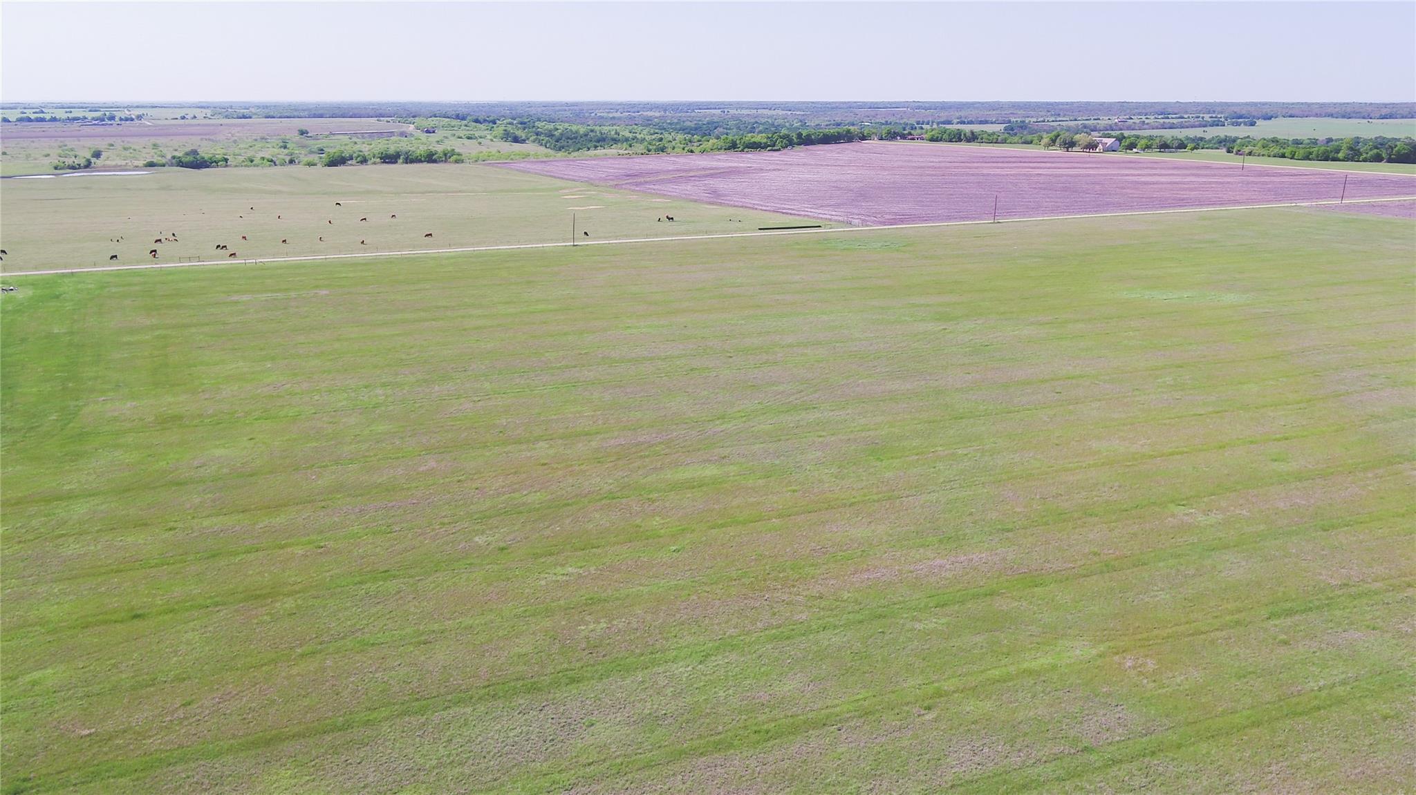 Tbd County Road 418 None Property Photo 11