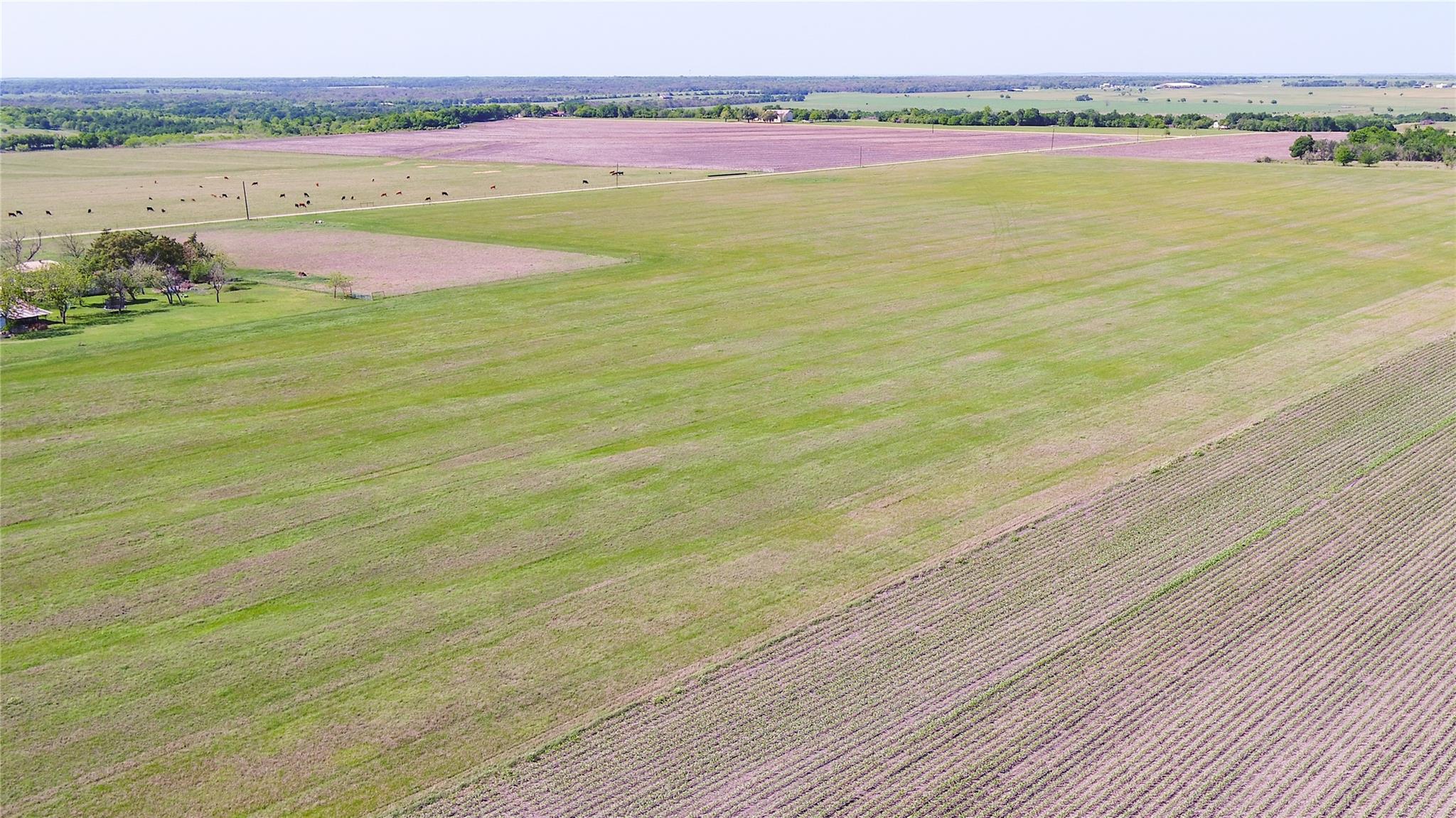 Tbd County Road 418 None Property Photo 13