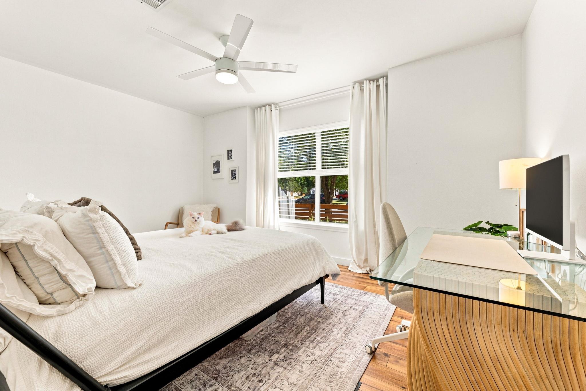 4208 Triboro Trl Property Photo 15