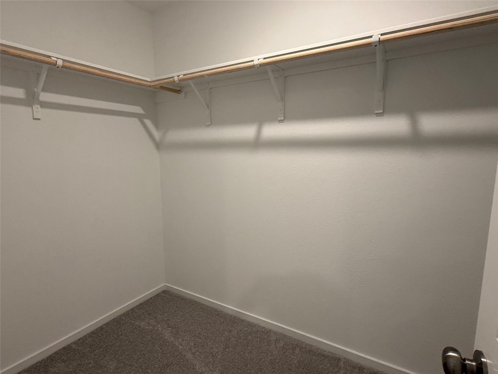 142 Pink Footed Pass Property Photo 15