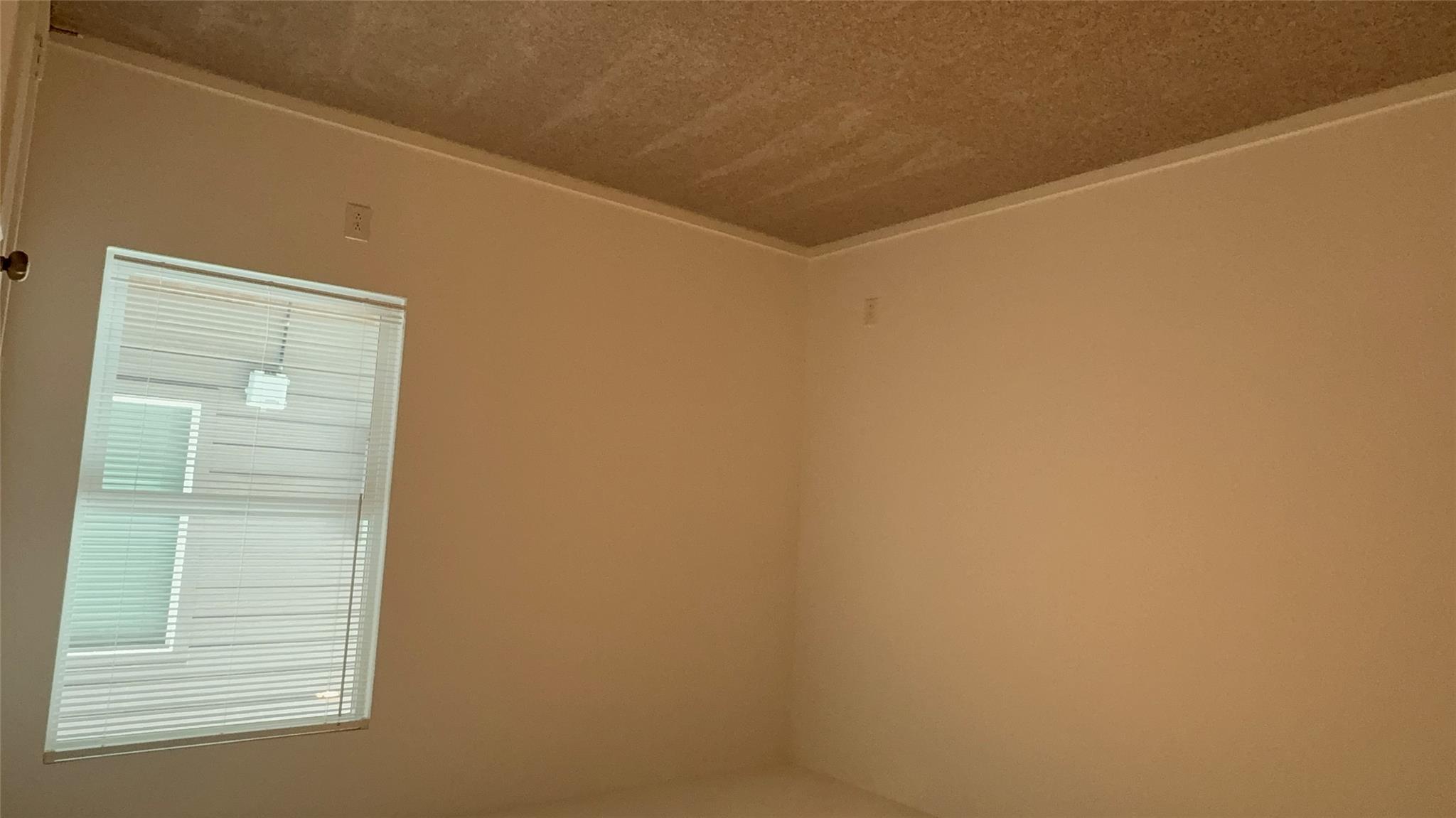 142 Pink Footed Pass Property Photo 17