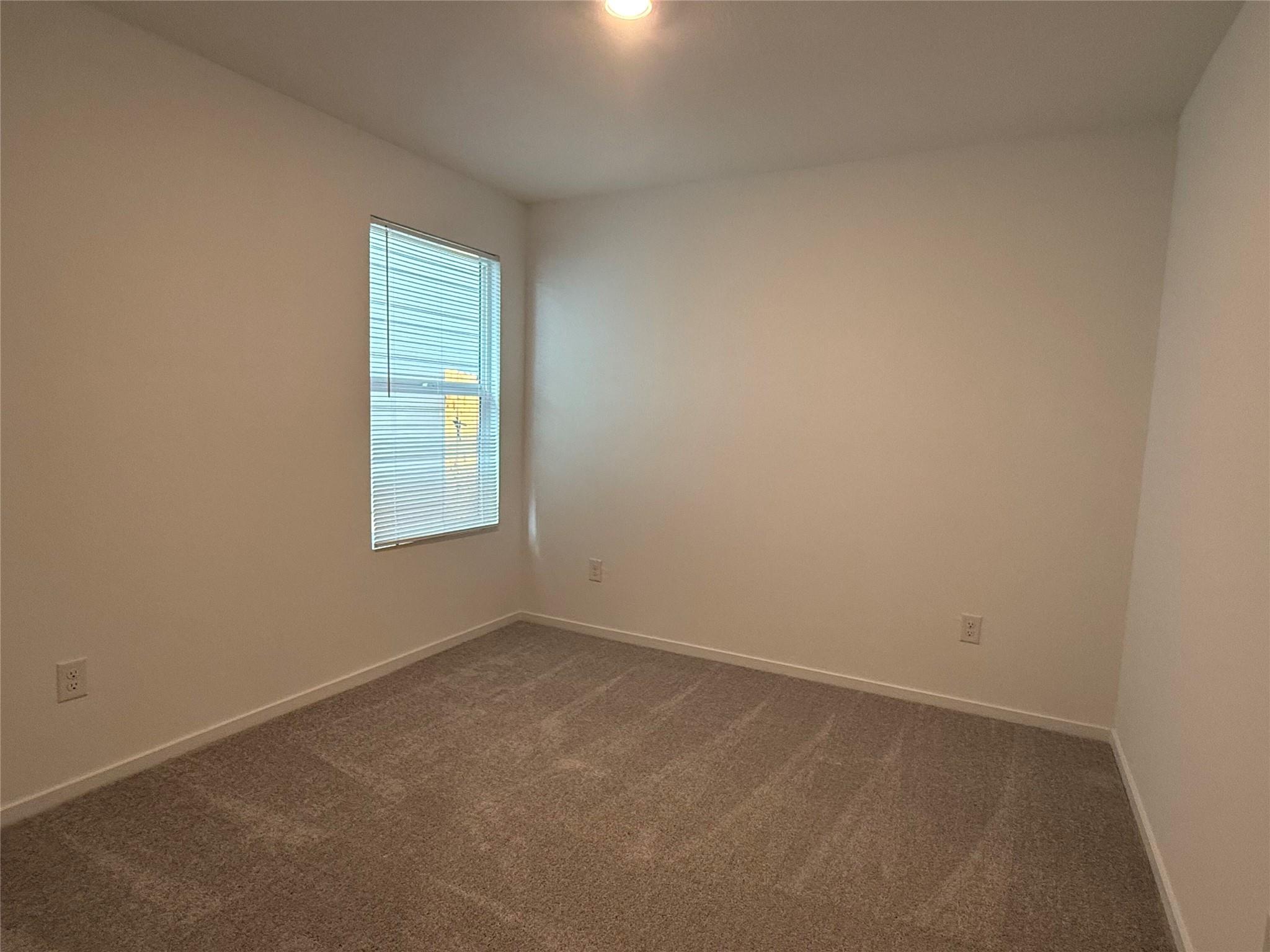 142 Pink Footed Pass Property Photo 19