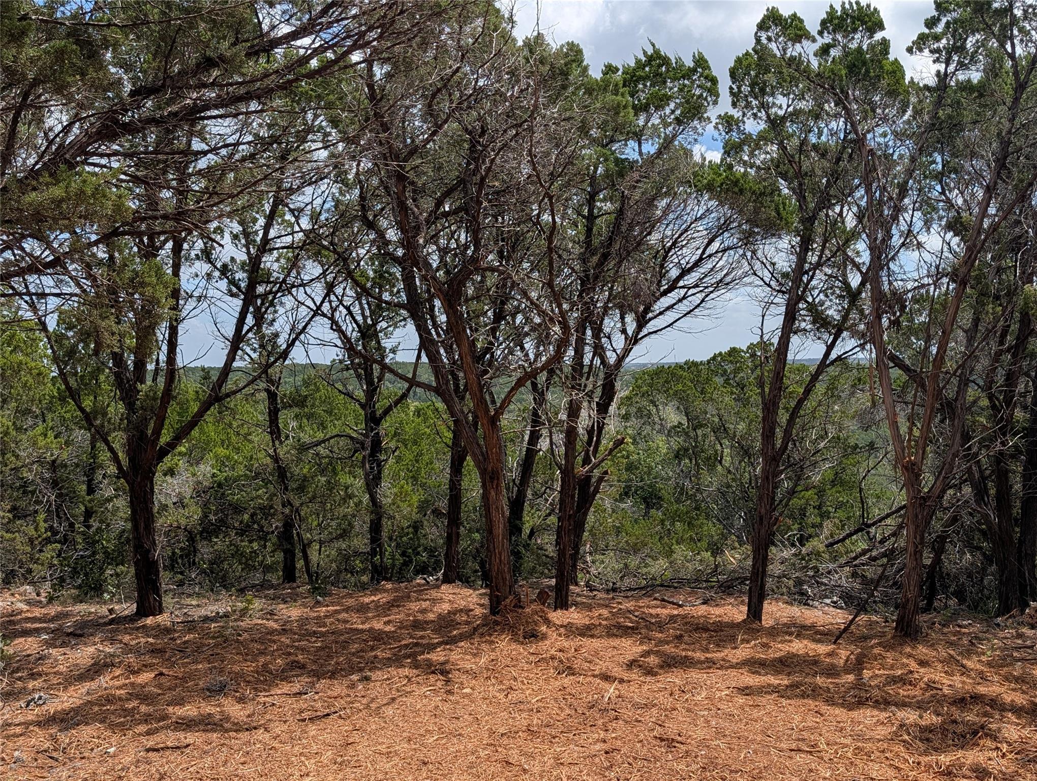 00 Mountain Top Cir Property Photo 3