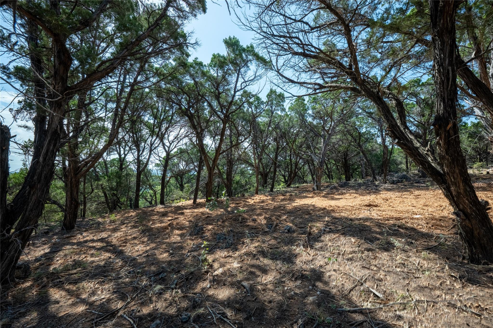00 Mountain Top Cir Property Photo 32