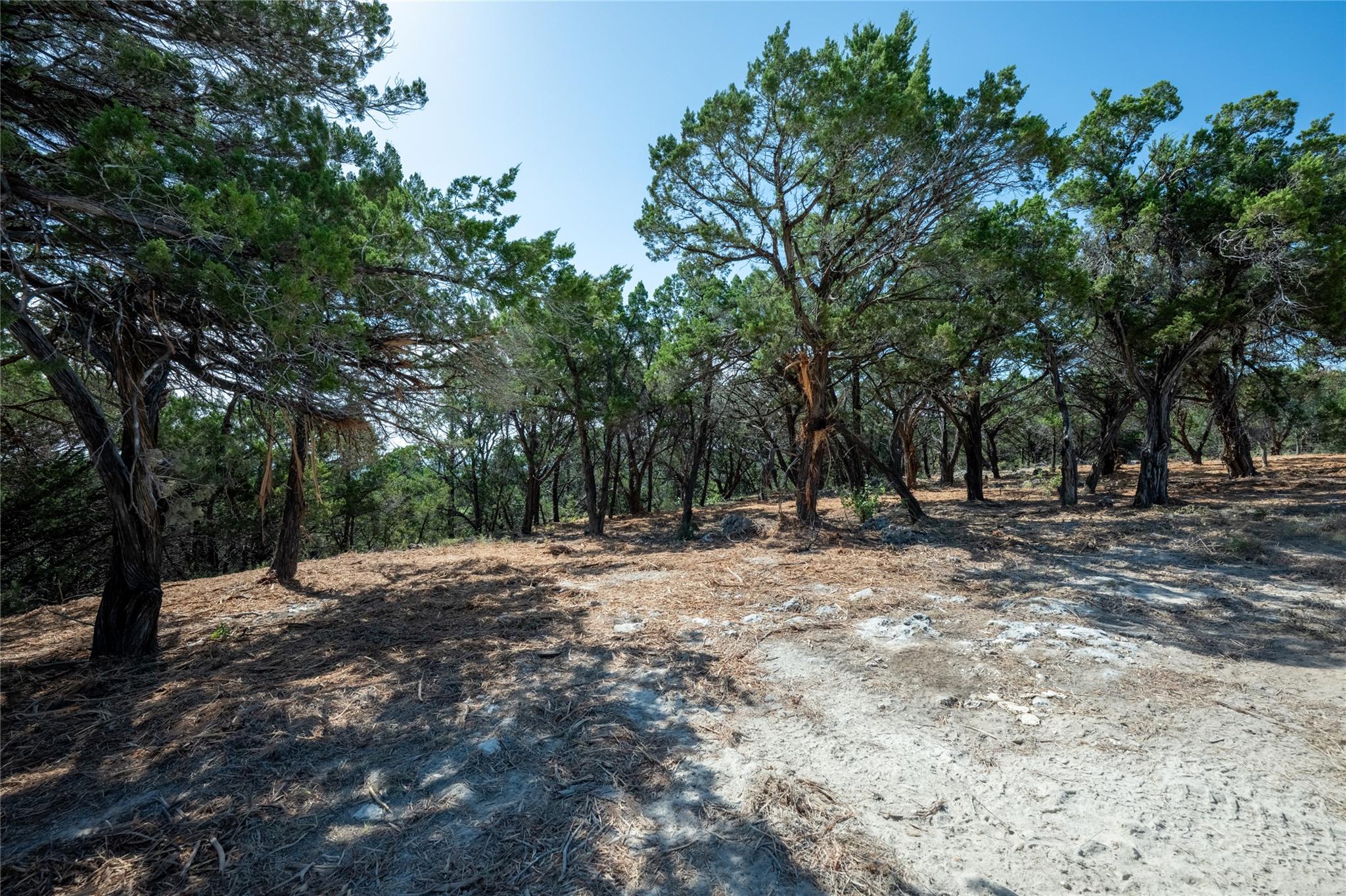 00 Mountain Top Cir Property Photo 35