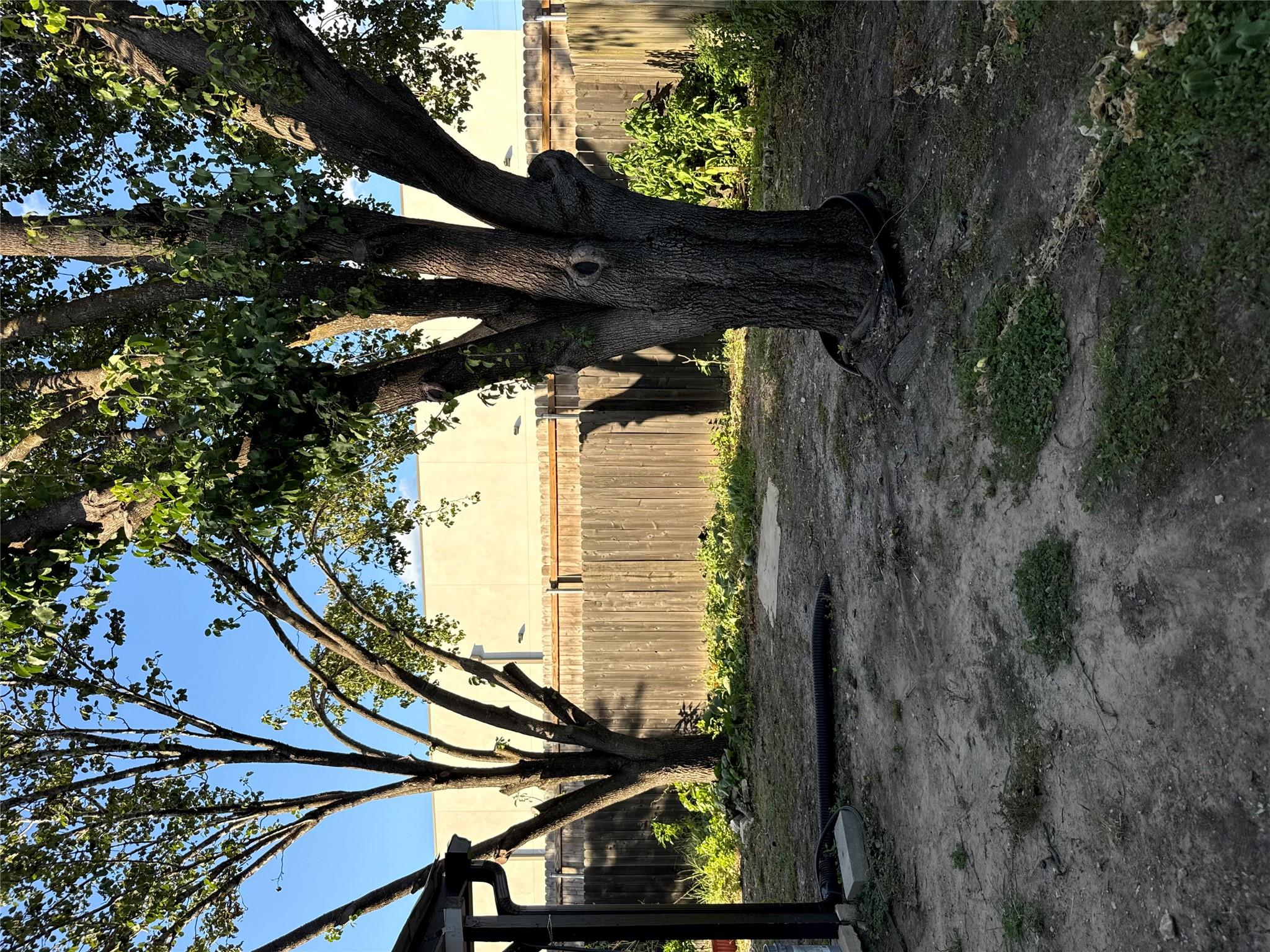220 Bailey Loop Property Photo 4