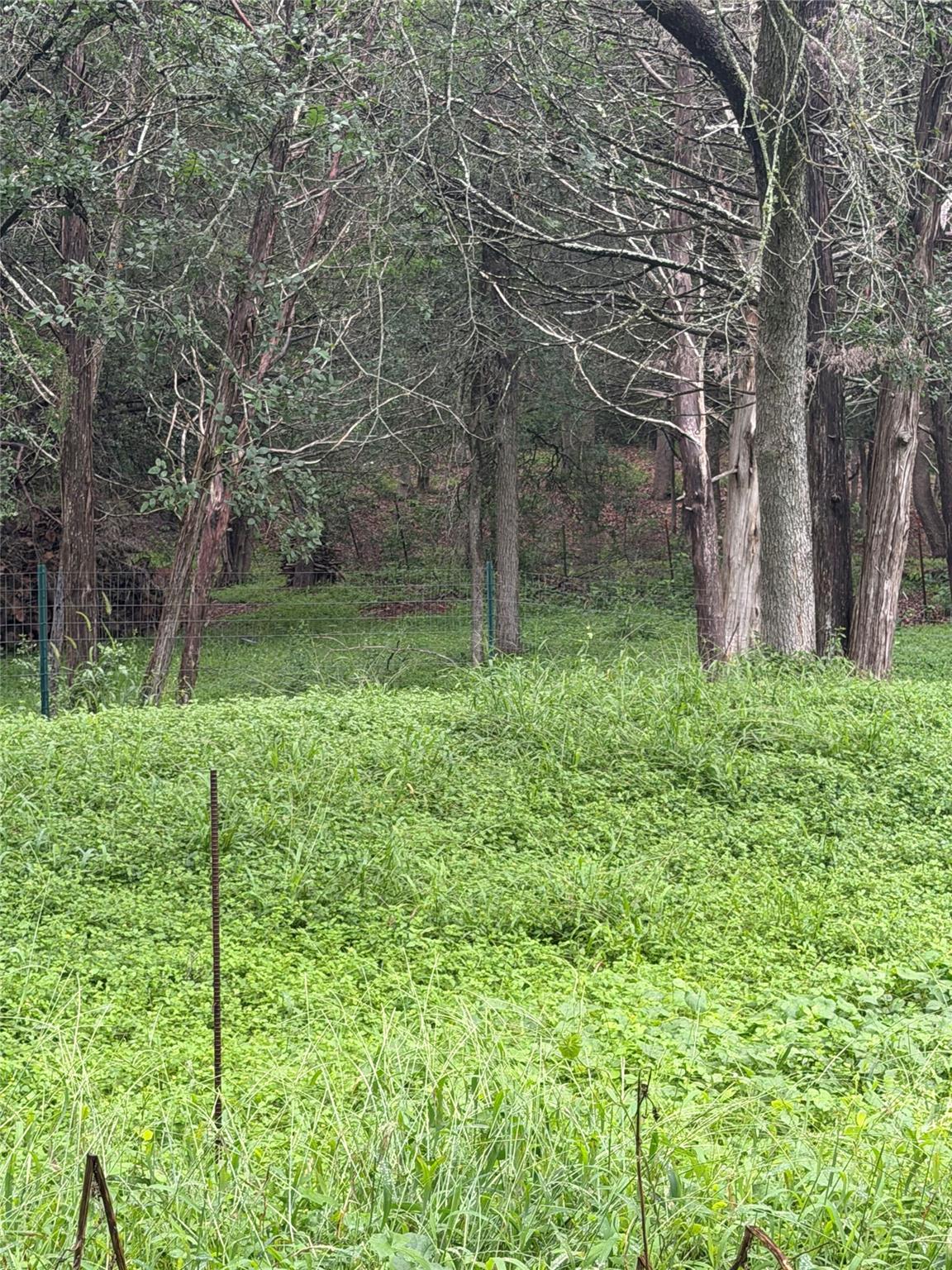 214 The Forest Rd Property Photo 15