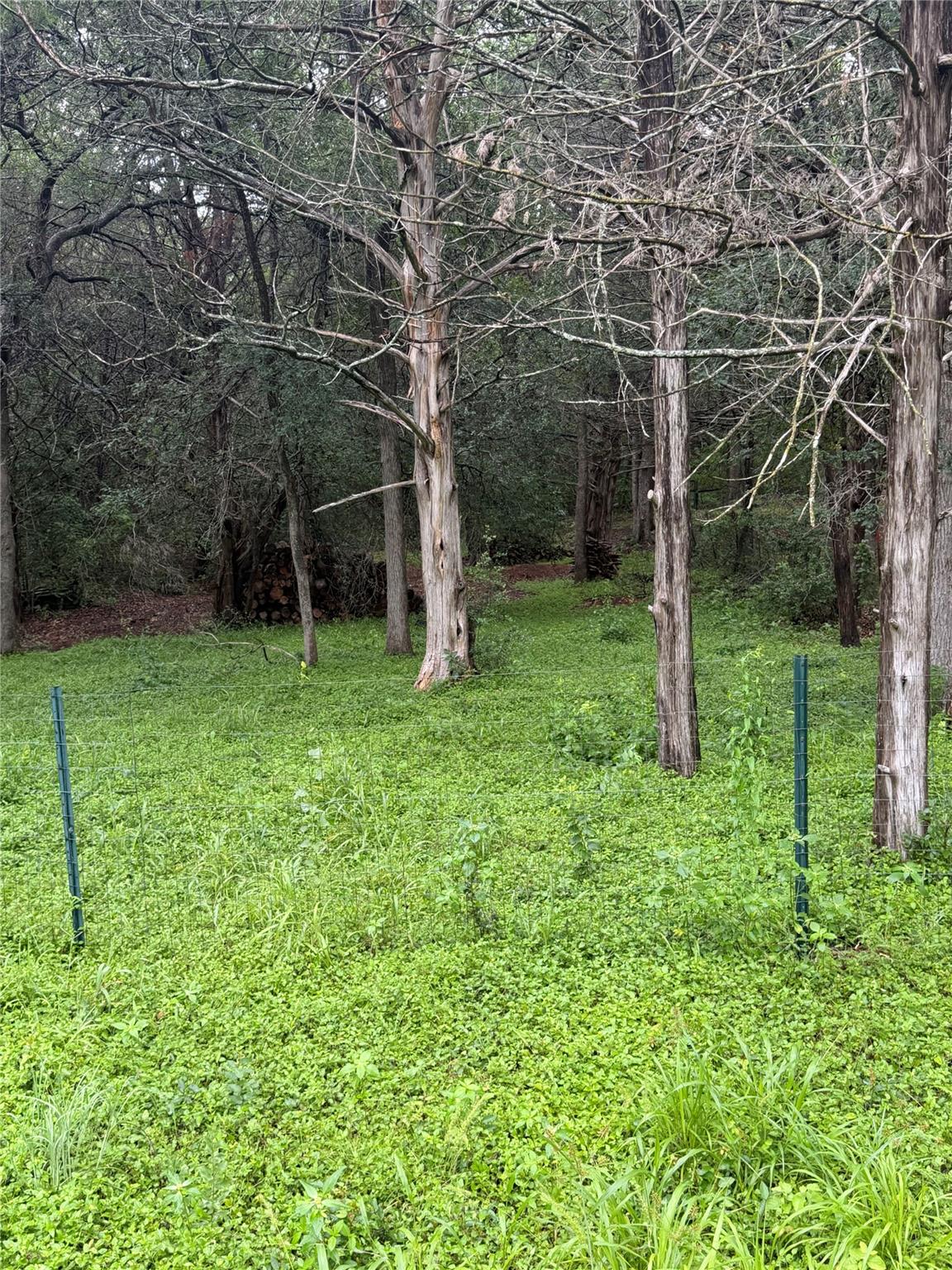 214 The Forest Rd Property Photo 18