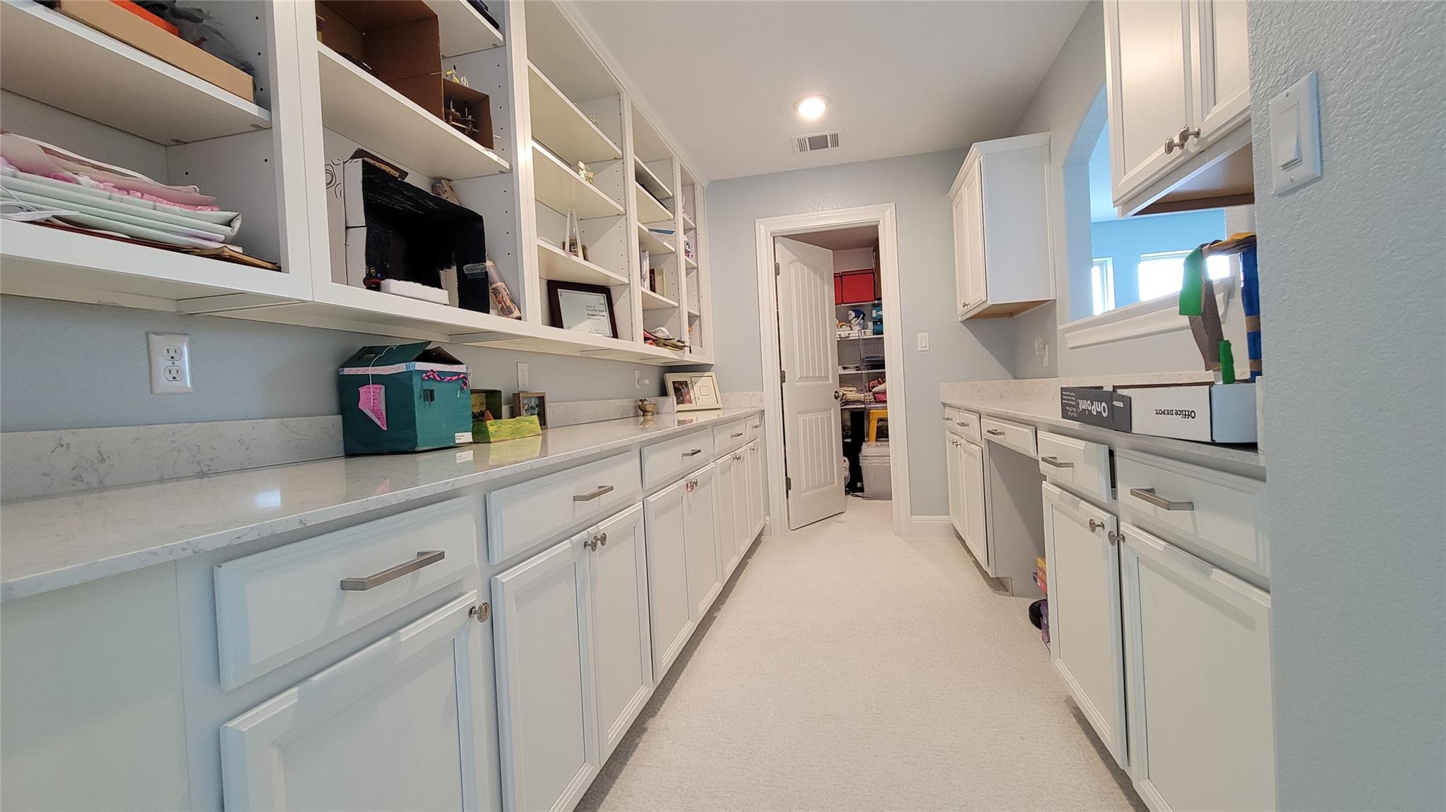 15824 Cinca Terra Dr Property Photo 21