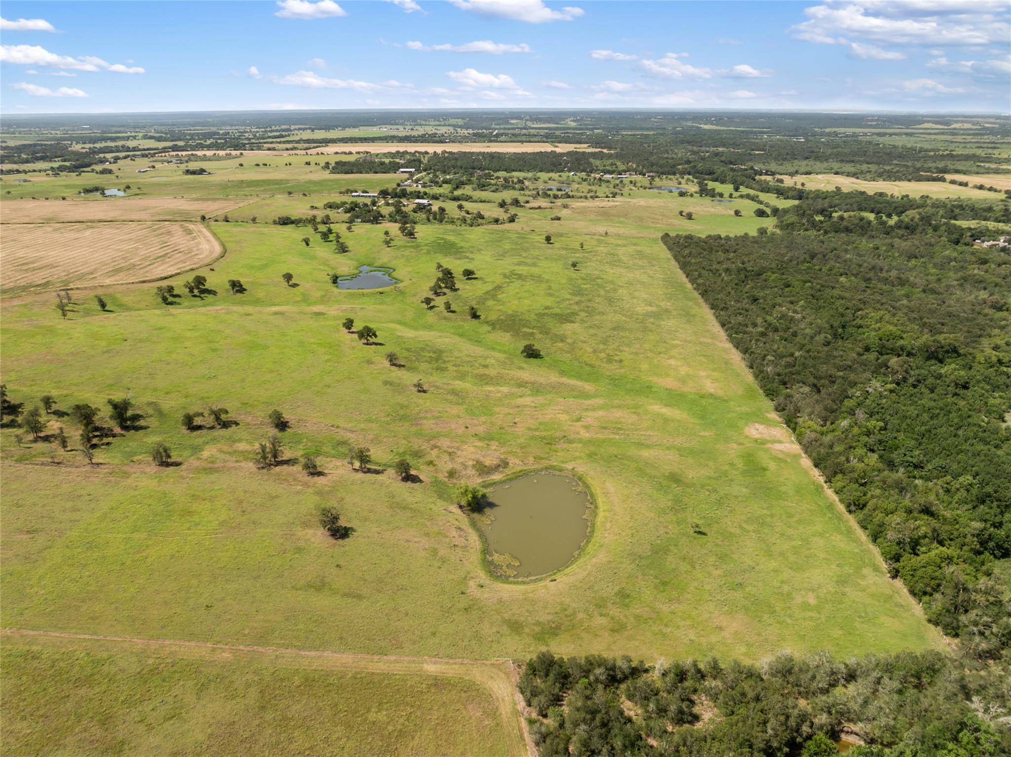 12500 County Line Rd Property Photo 9