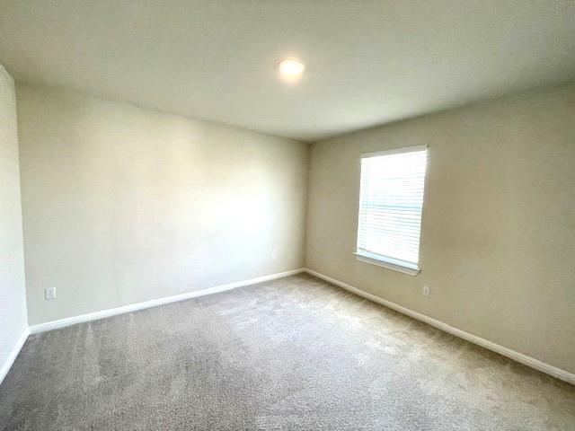 612 Red Knot Ave Property Photo 21