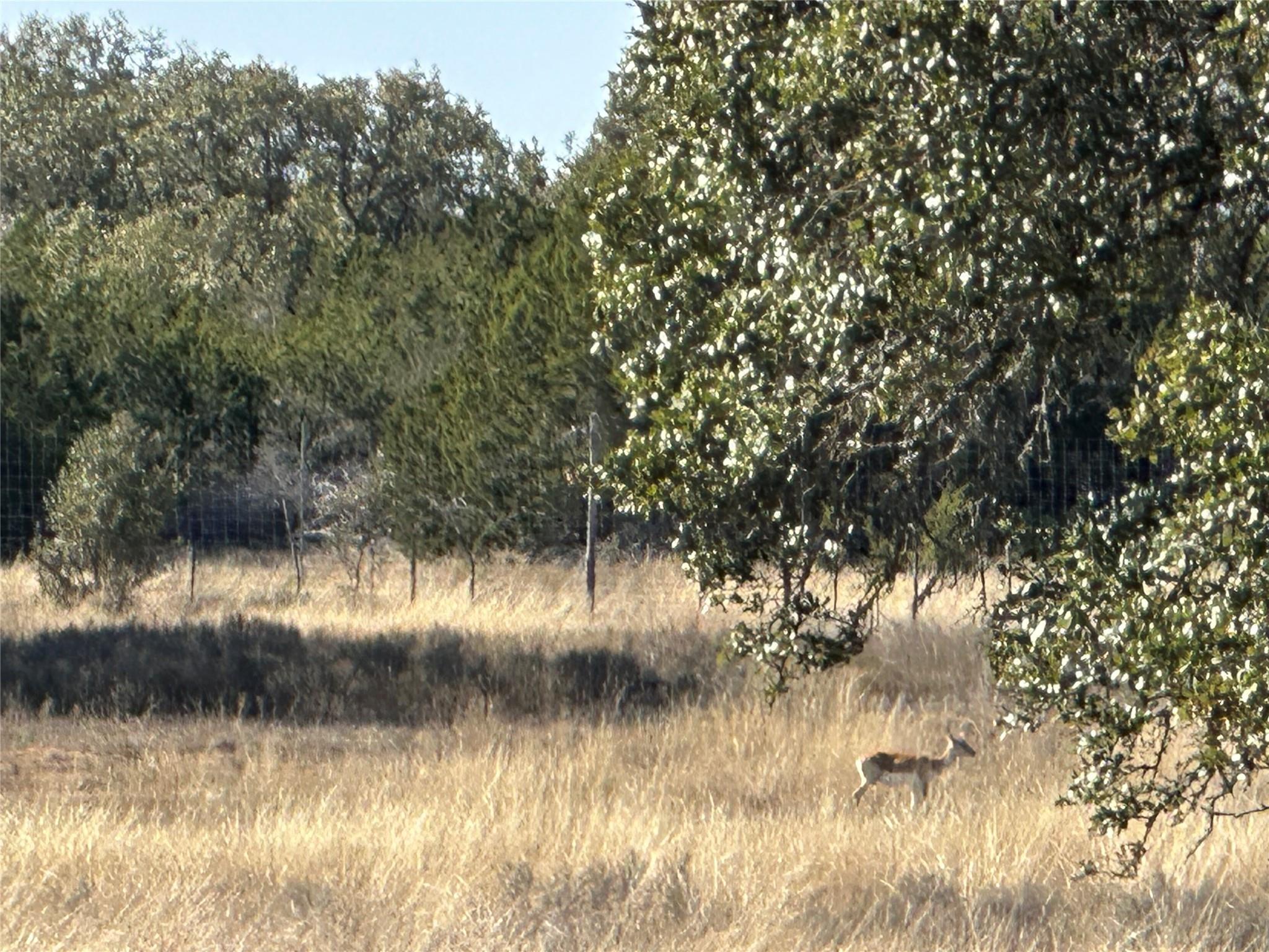 Lot 186 Blackbuck Ridge Dr Property Photo 6