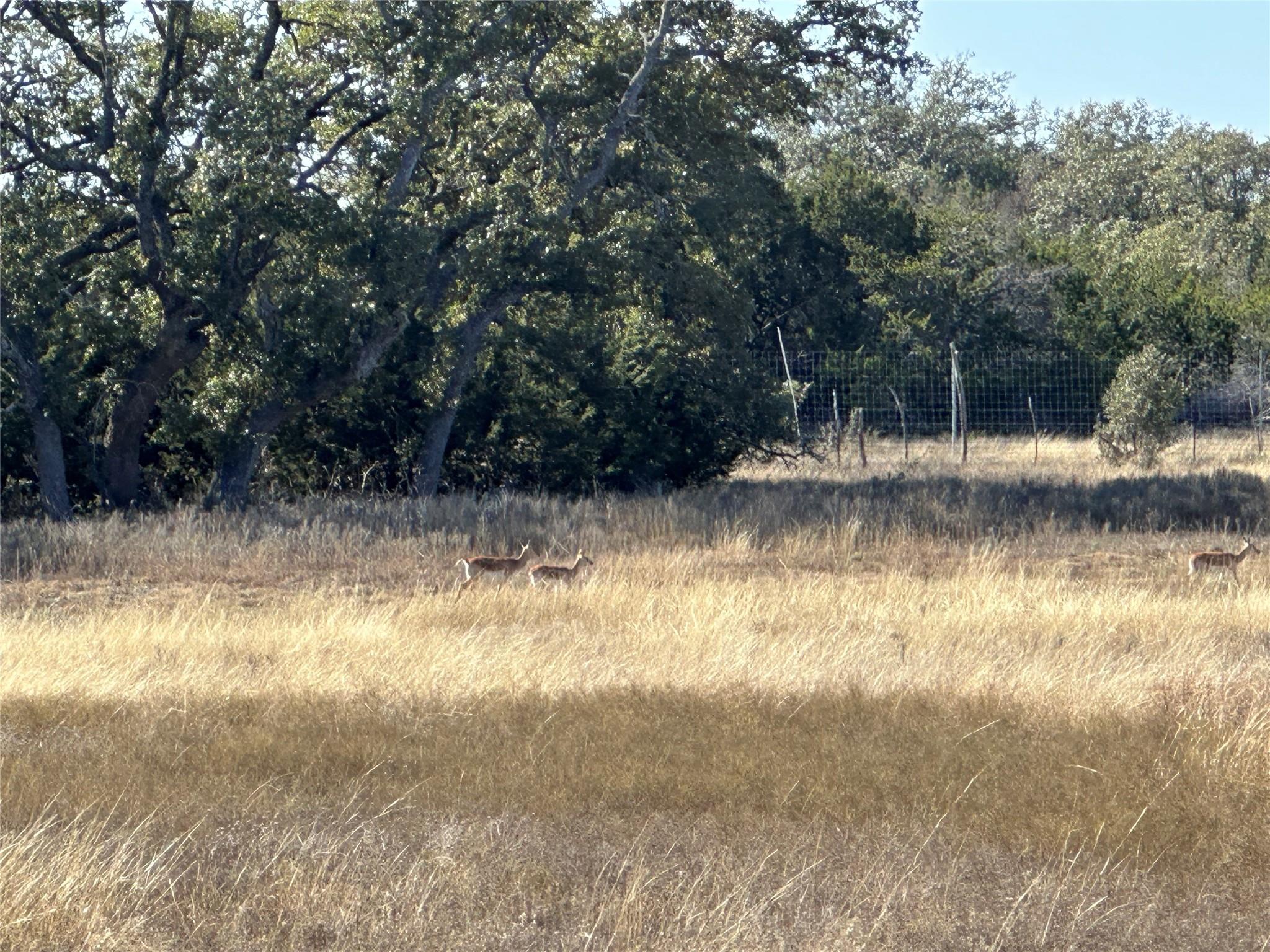 Lot 186 Blackbuck Ridge Dr Property Photo 7