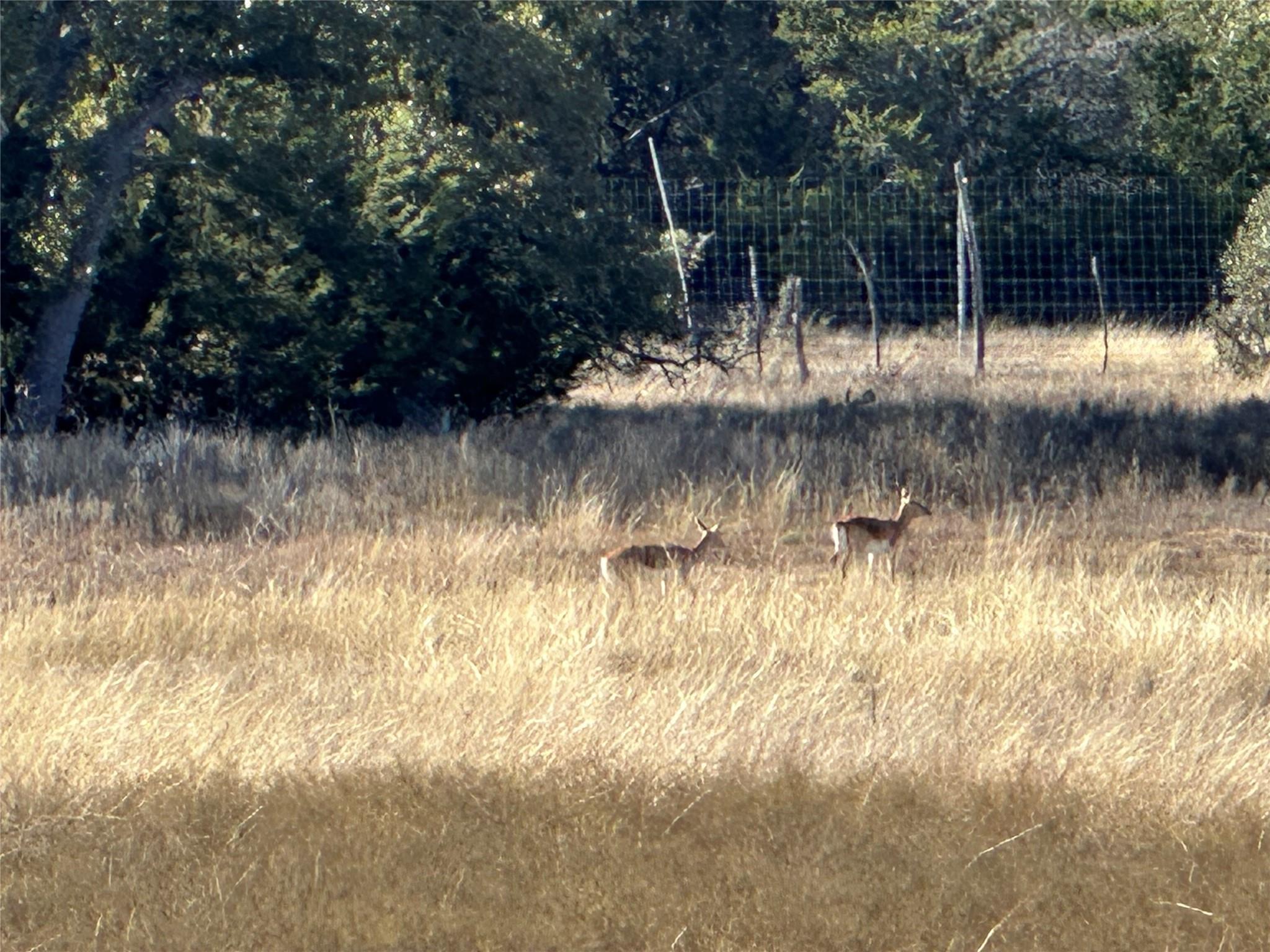 Lot 186 Blackbuck Ridge Dr Property Photo 8