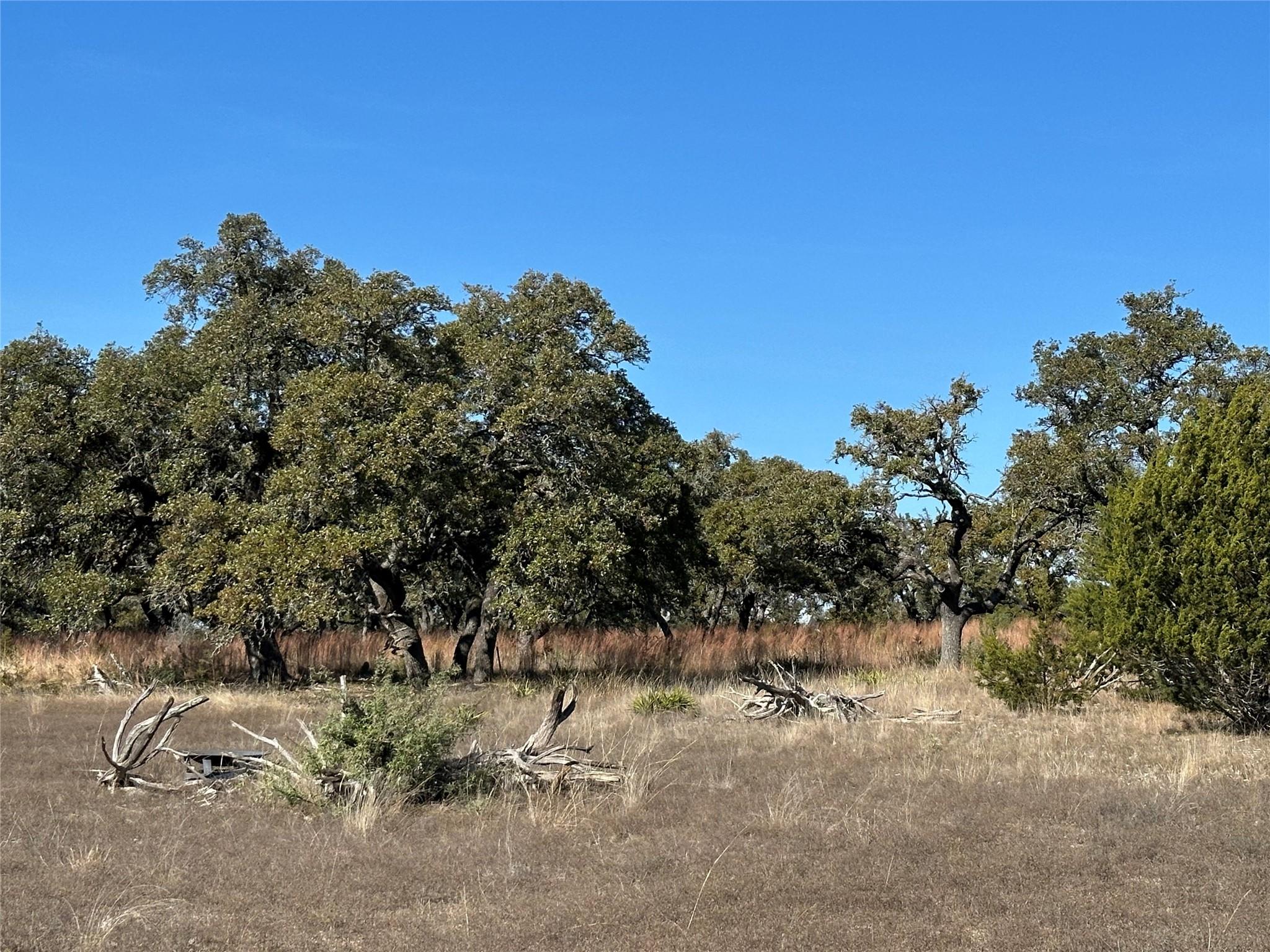 Lot 186 Blackbuck Ridge Dr Property Photo 13