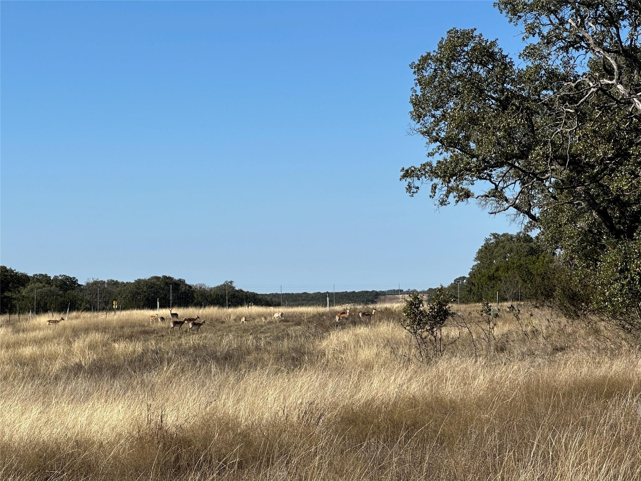Lot 186 Blackbuck Ridge Dr Property Photo 14