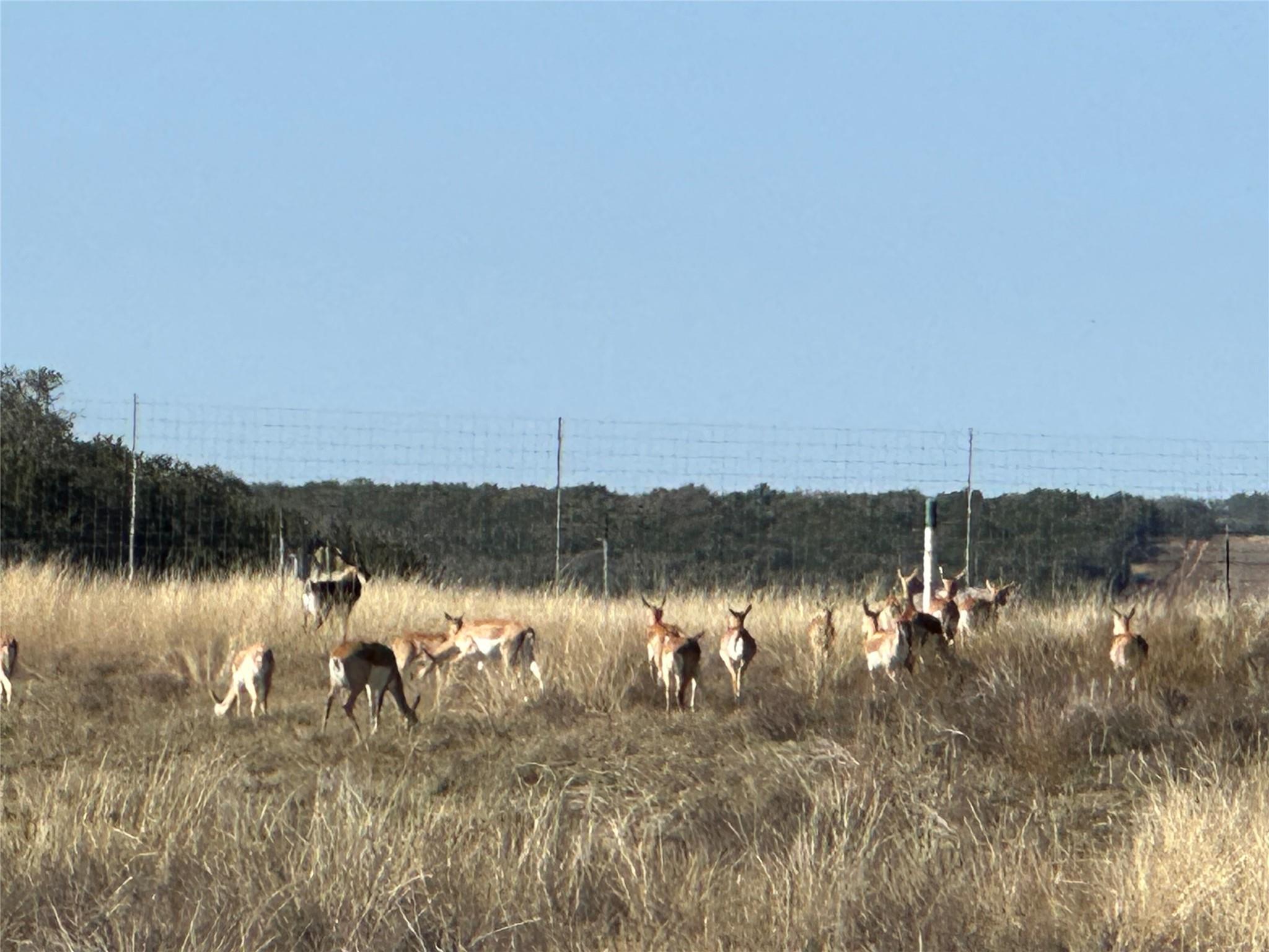 Lot 186 Blackbuck Ridge Dr Property Photo 15