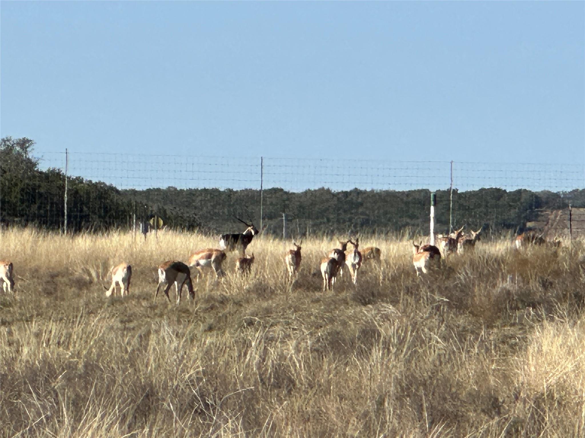 Lot 186 Blackbuck Ridge Dr Property Photo 16