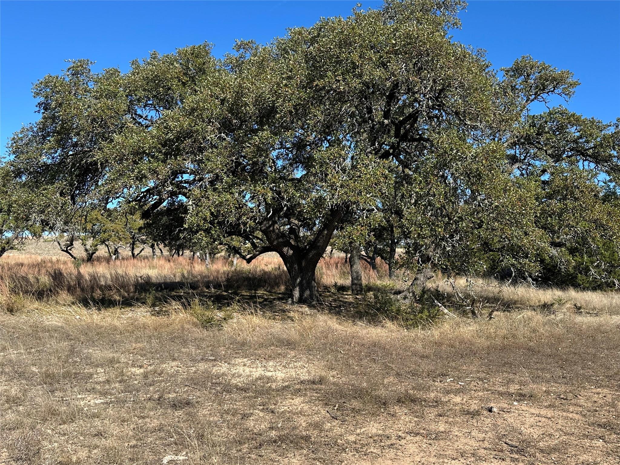 Lot 186 Blackbuck Ridge Dr Property Photo 22