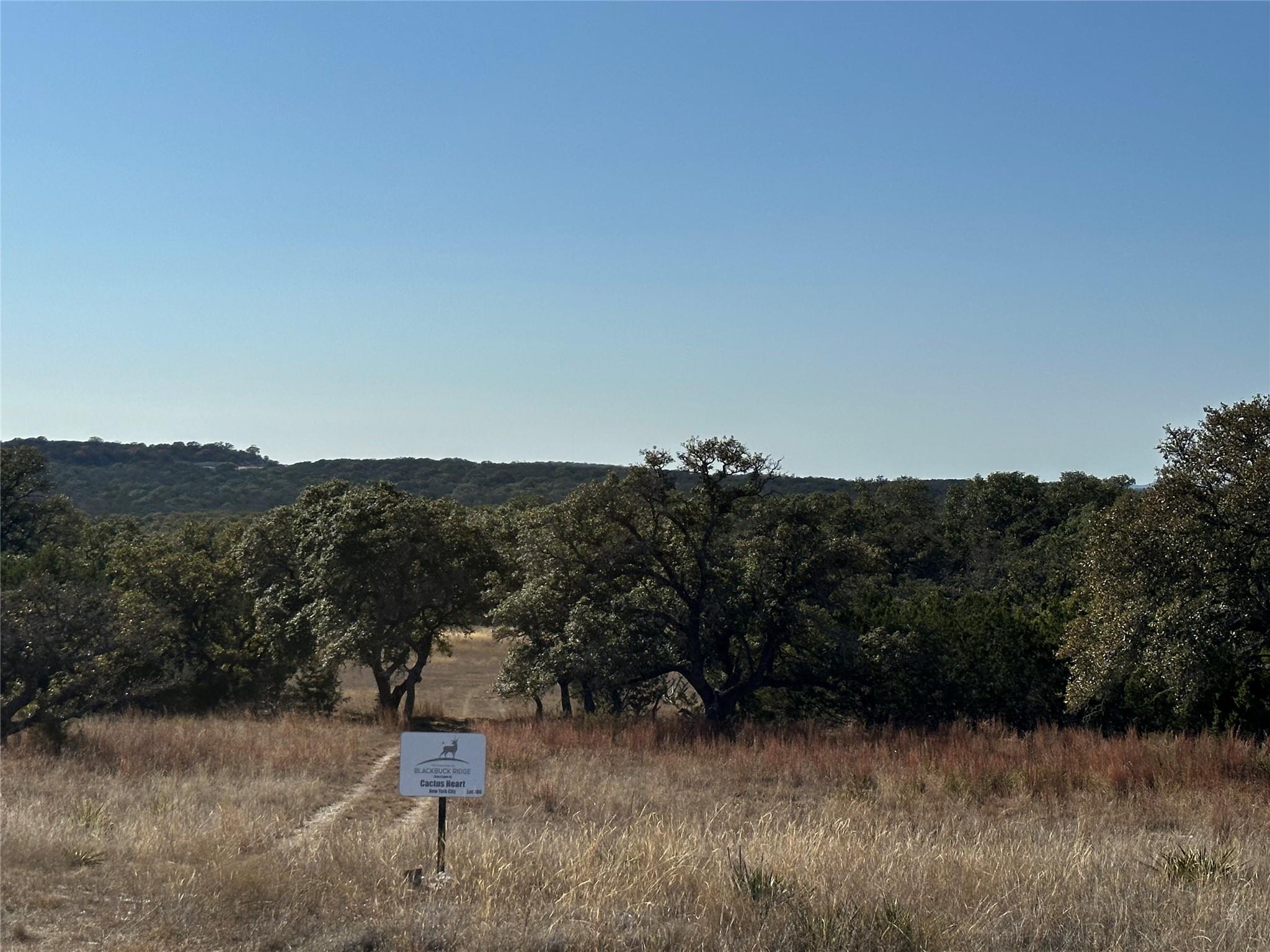 Lot 186 Blackbuck Ridge Dr Property Photo 25