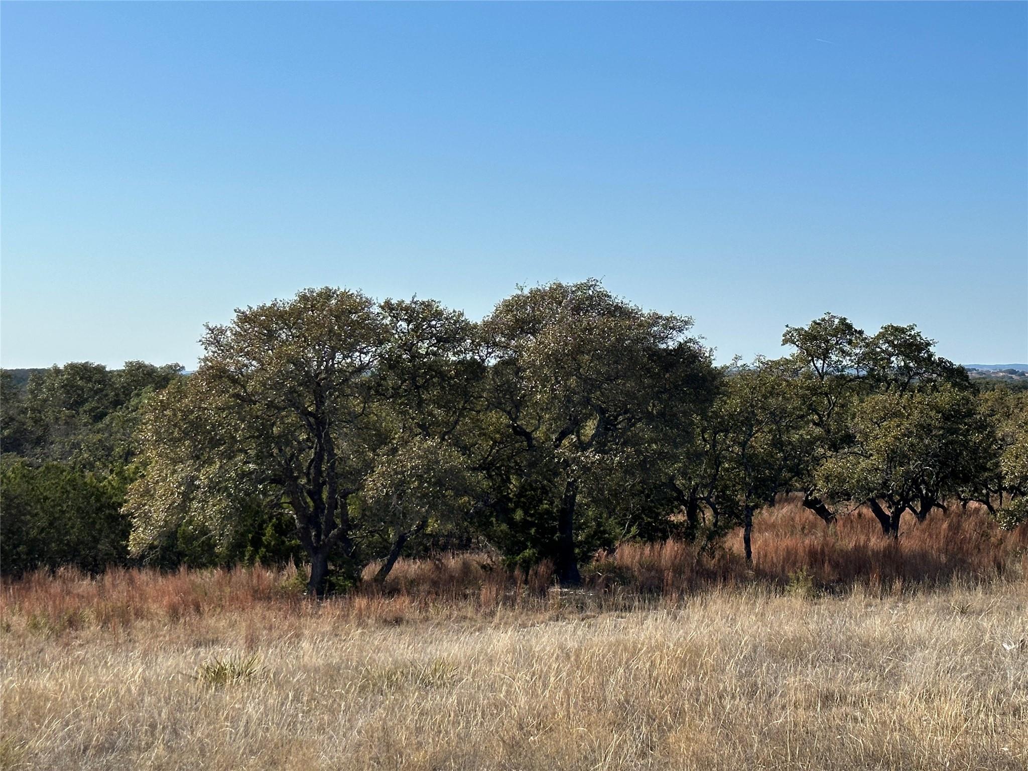 Lot 186 Blackbuck Ridge Dr Property Photo 26
