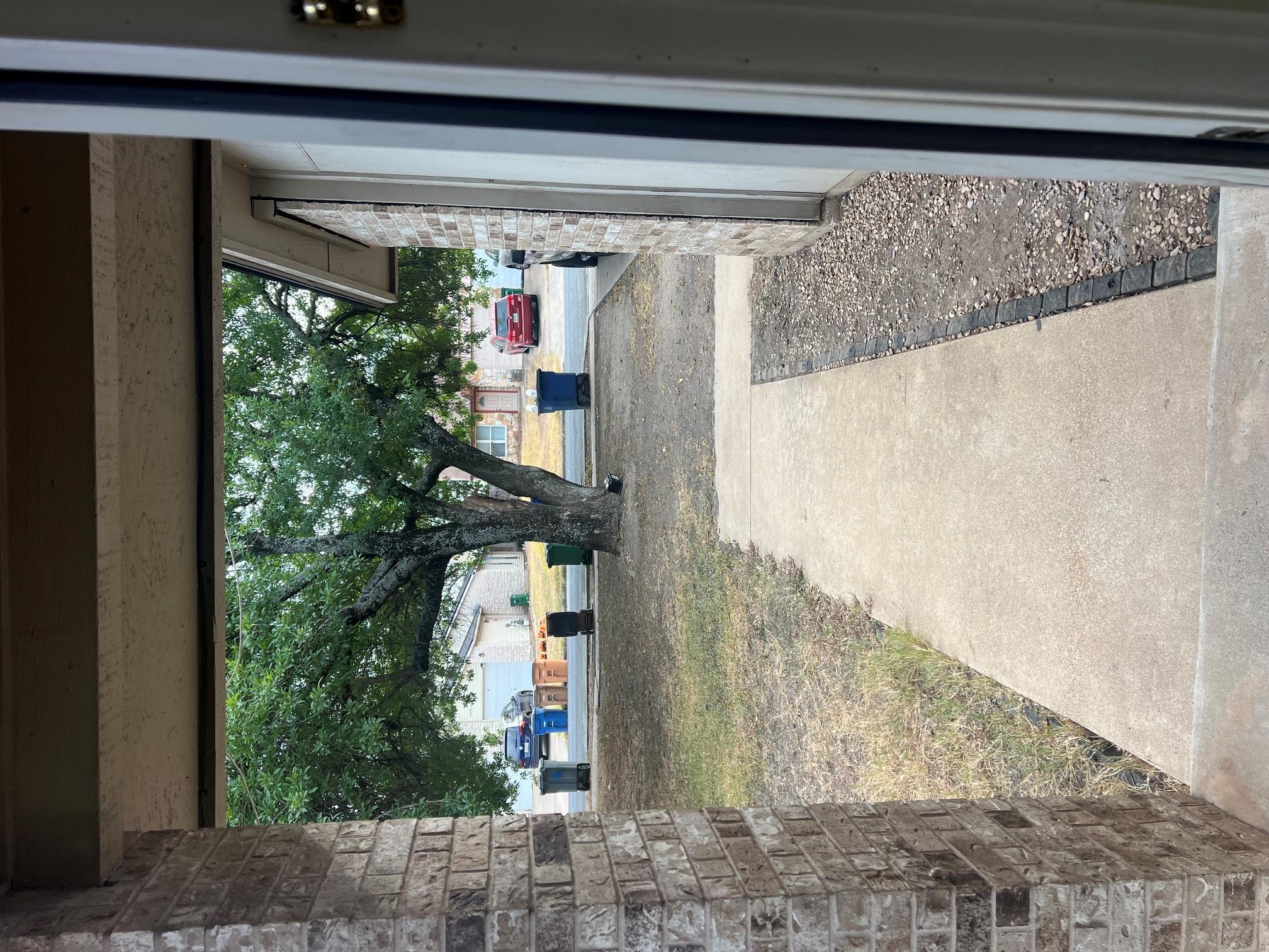 11429 Ptarmigan Dr #b Property Photo 14
