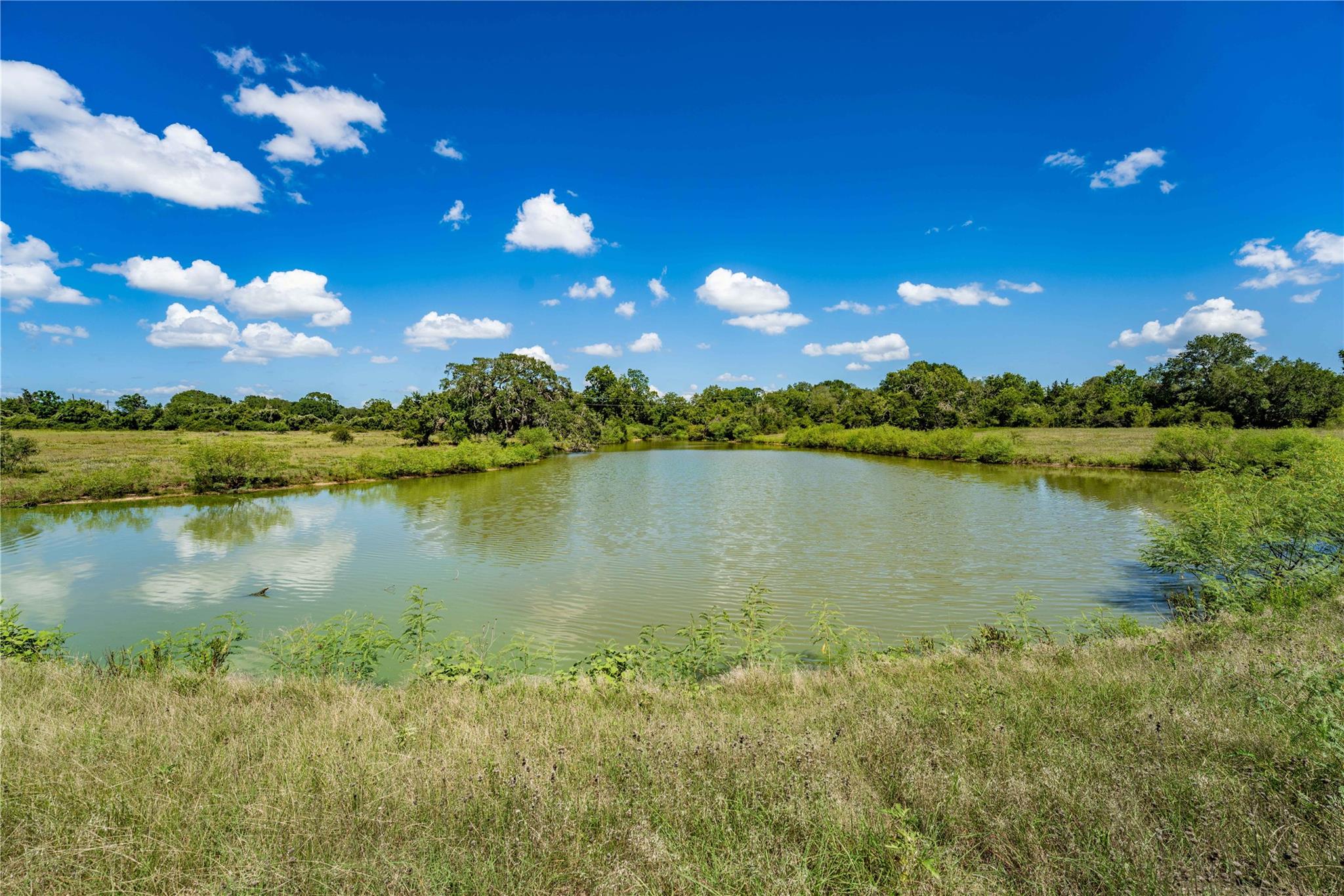 Tbd Cr 253 None Property Photo 1