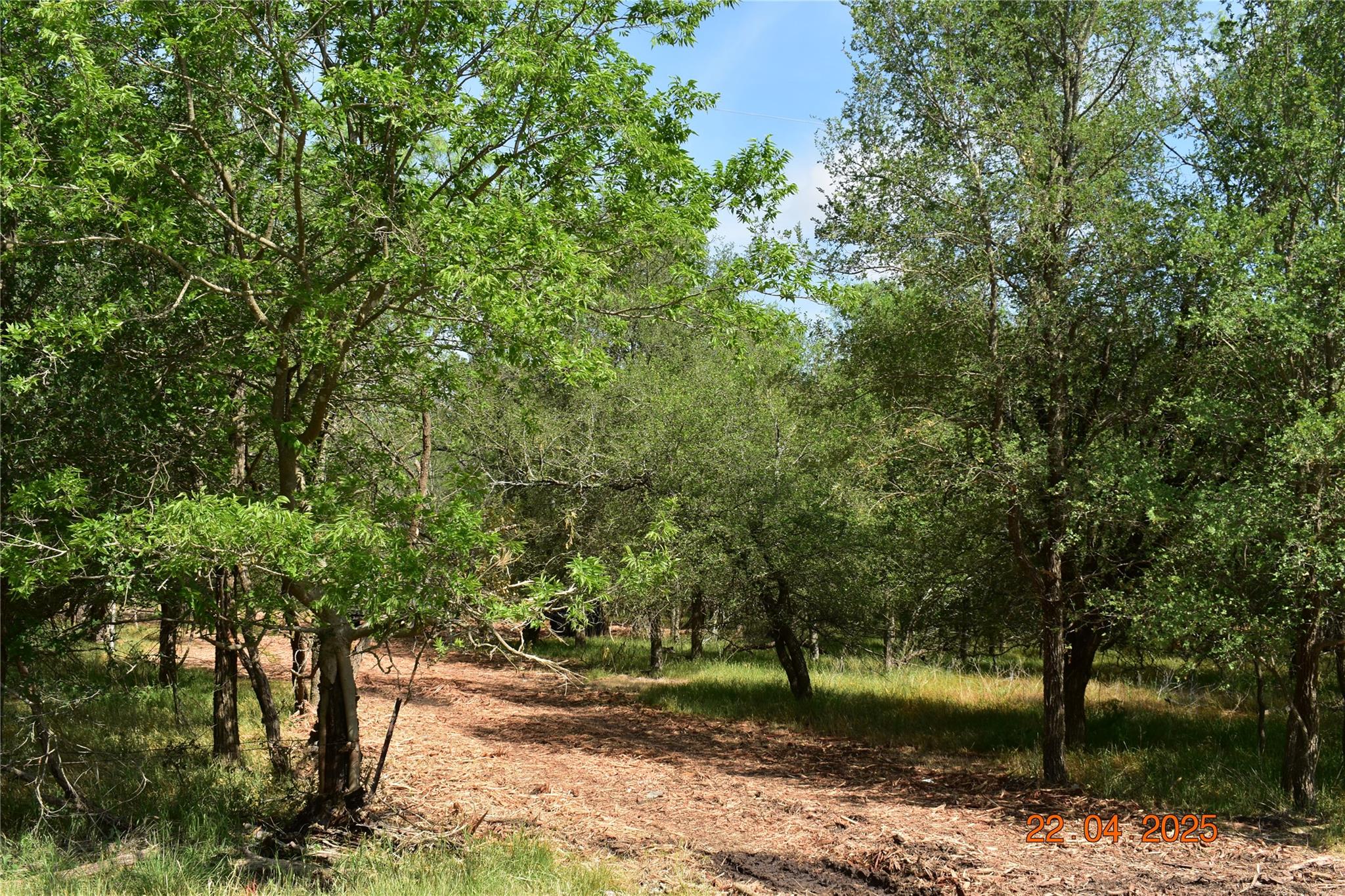 240 Caney Creek Rd Property Photo