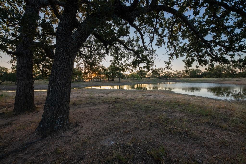 1945401 Property Photo 11