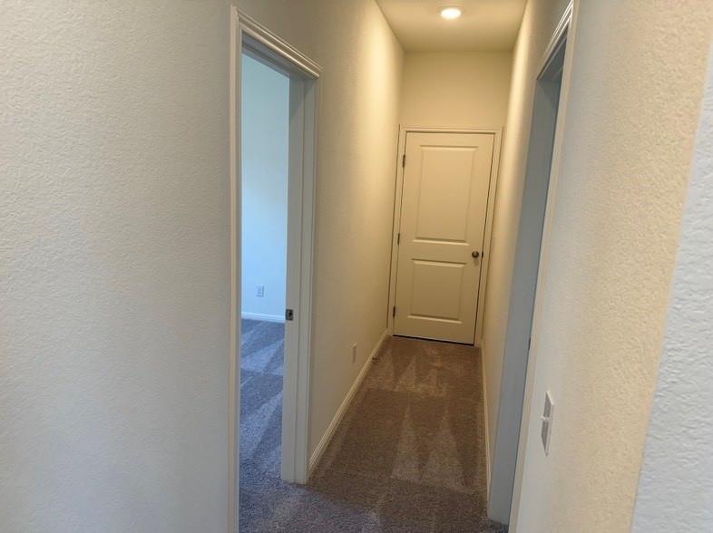 309 Plateau St Property Photo 10