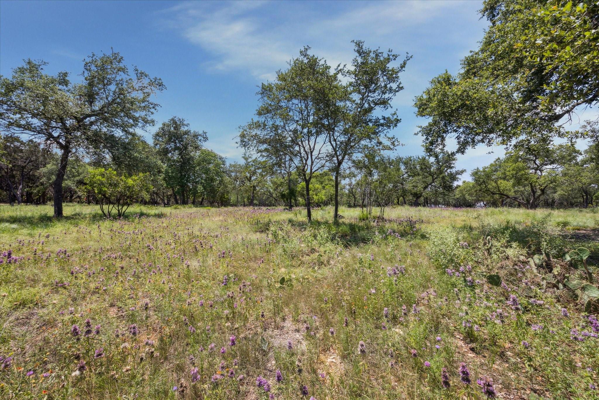 16043 Pool Canyon Rd Property Photo 6