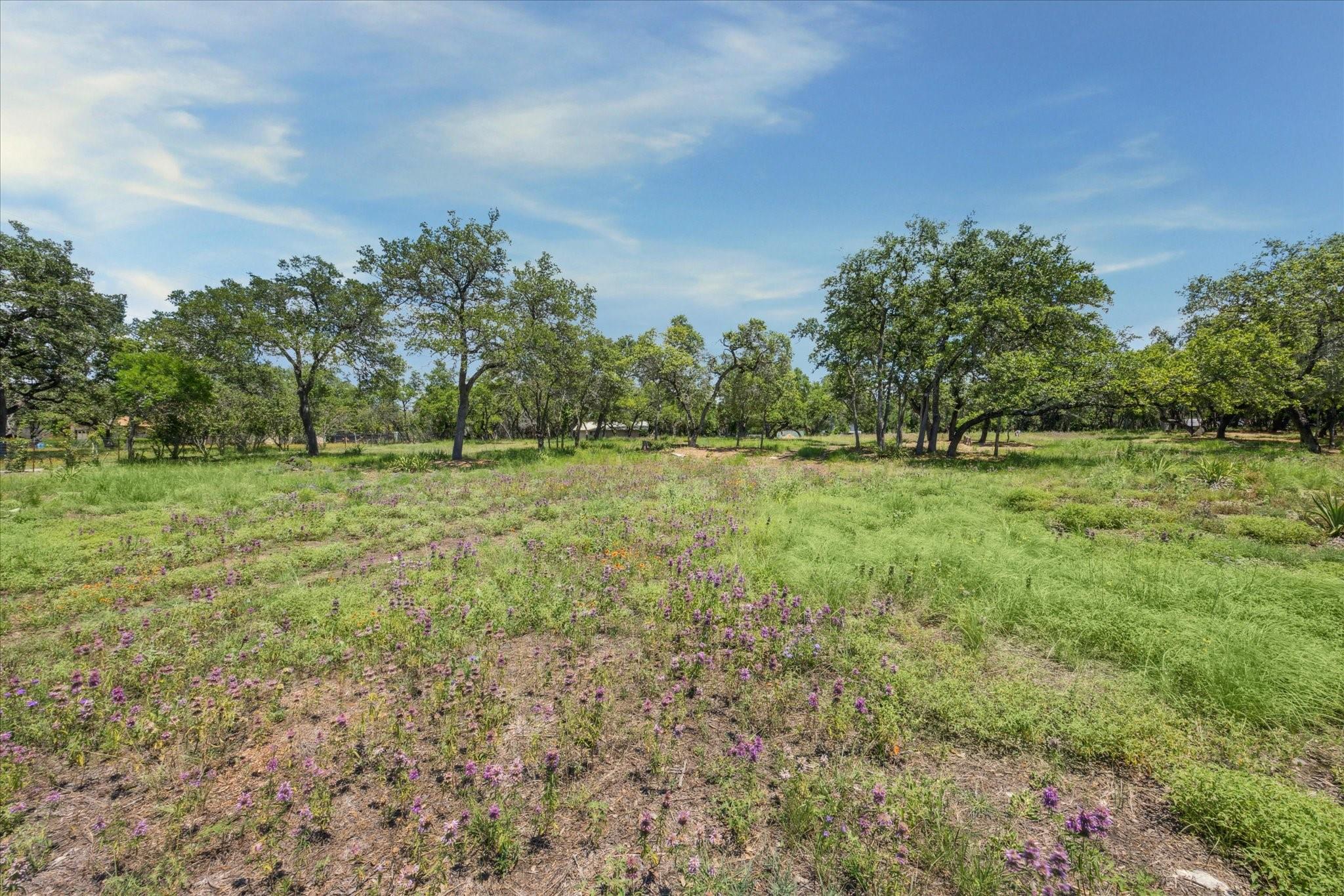 16043 Pool Canyon Rd Property Photo 11