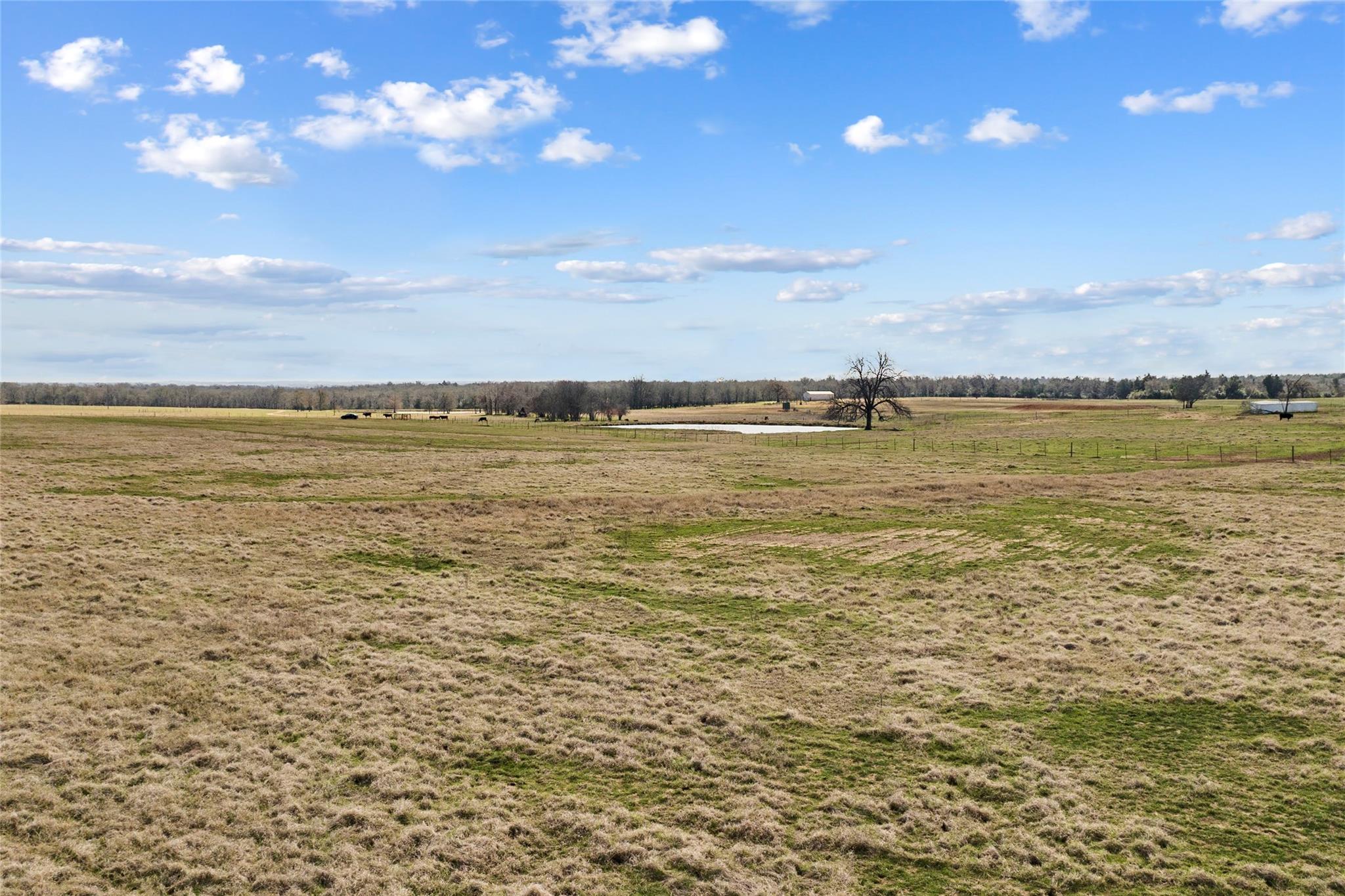 Tbd (15/ac) Tract 1 County Road 309 Property Photo 32