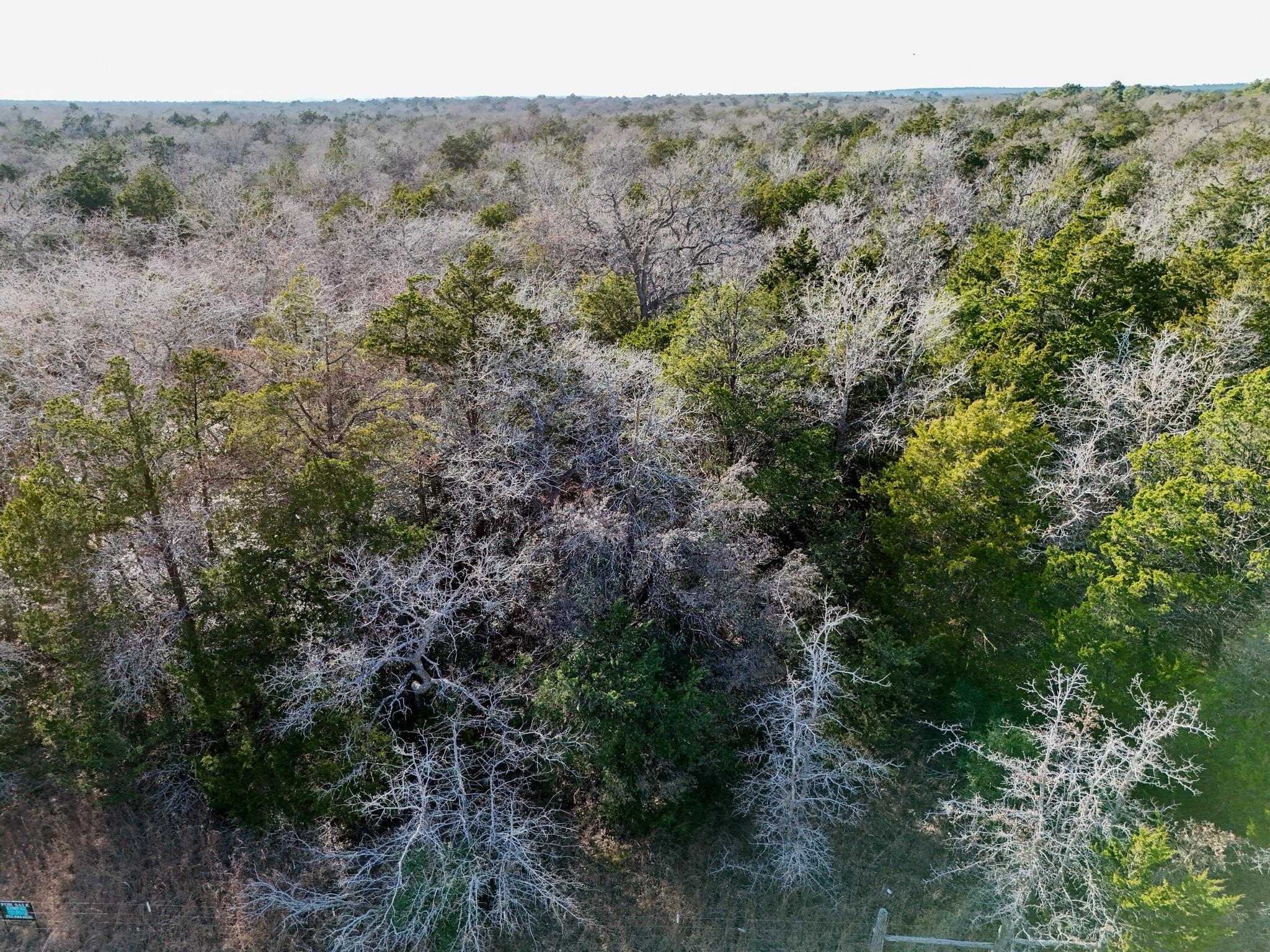 Lot 2 South Old Potato Rd Property Photo 15