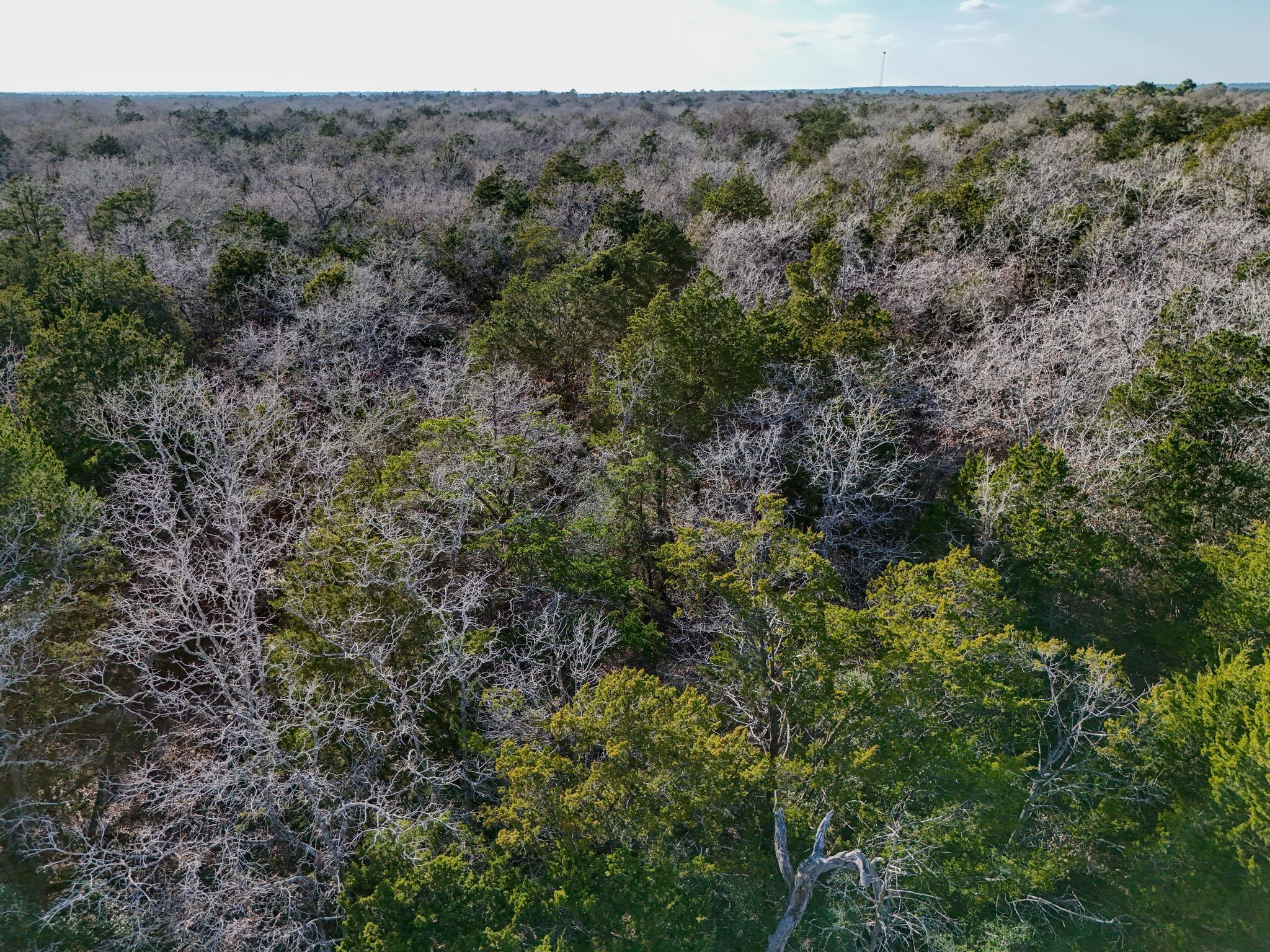 Lot 2 South Old Potato Rd Property Photo 16