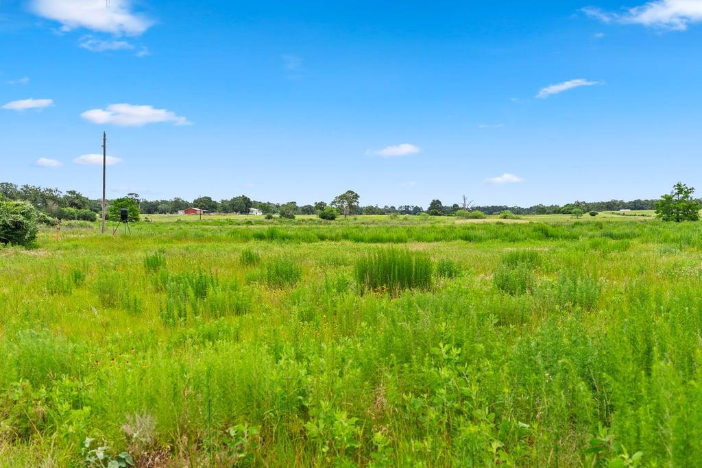 1910 E County Road 415 None Property Photo 12
