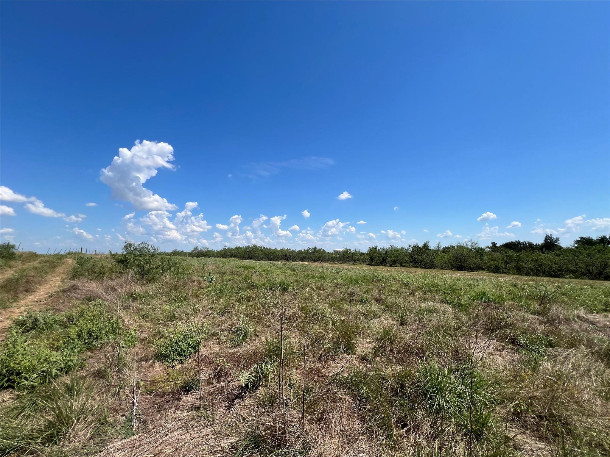 2614 Cr 466 None Property Photo 5