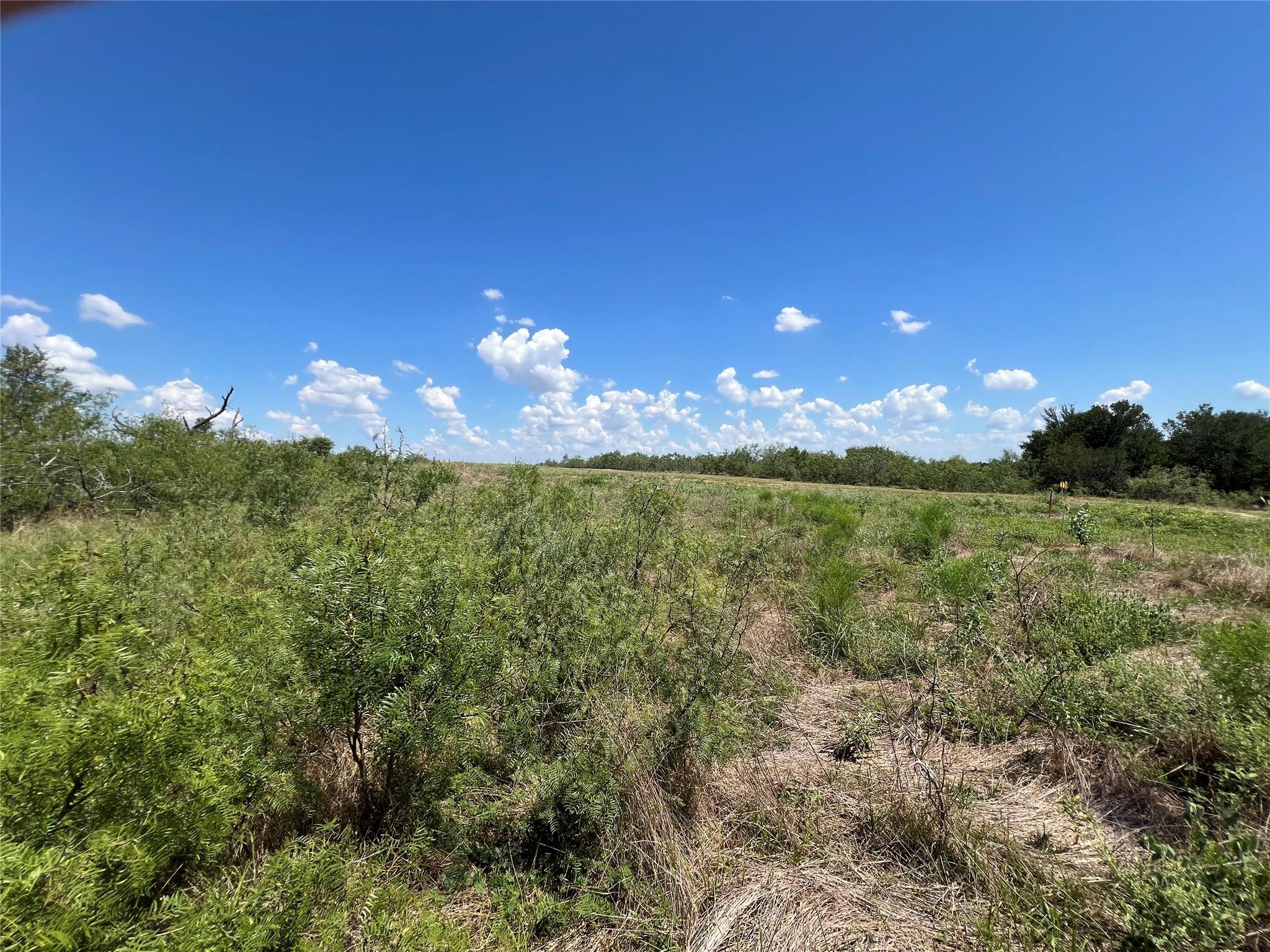 2614 Cr 466 None Property Photo 9